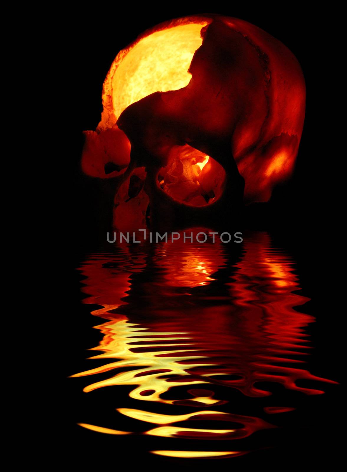 burning skull by mettus