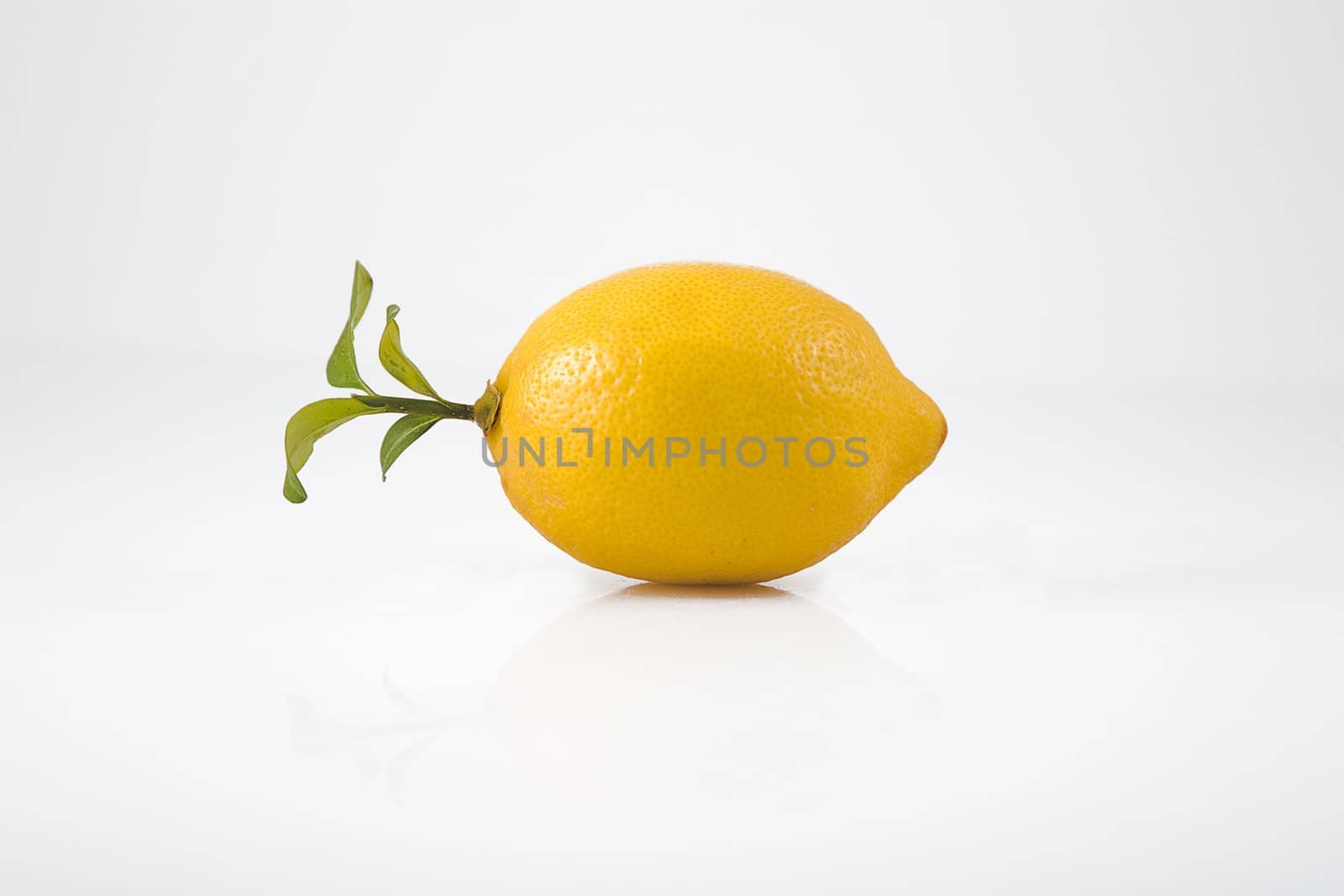 yellow lemon and green leaves, front view