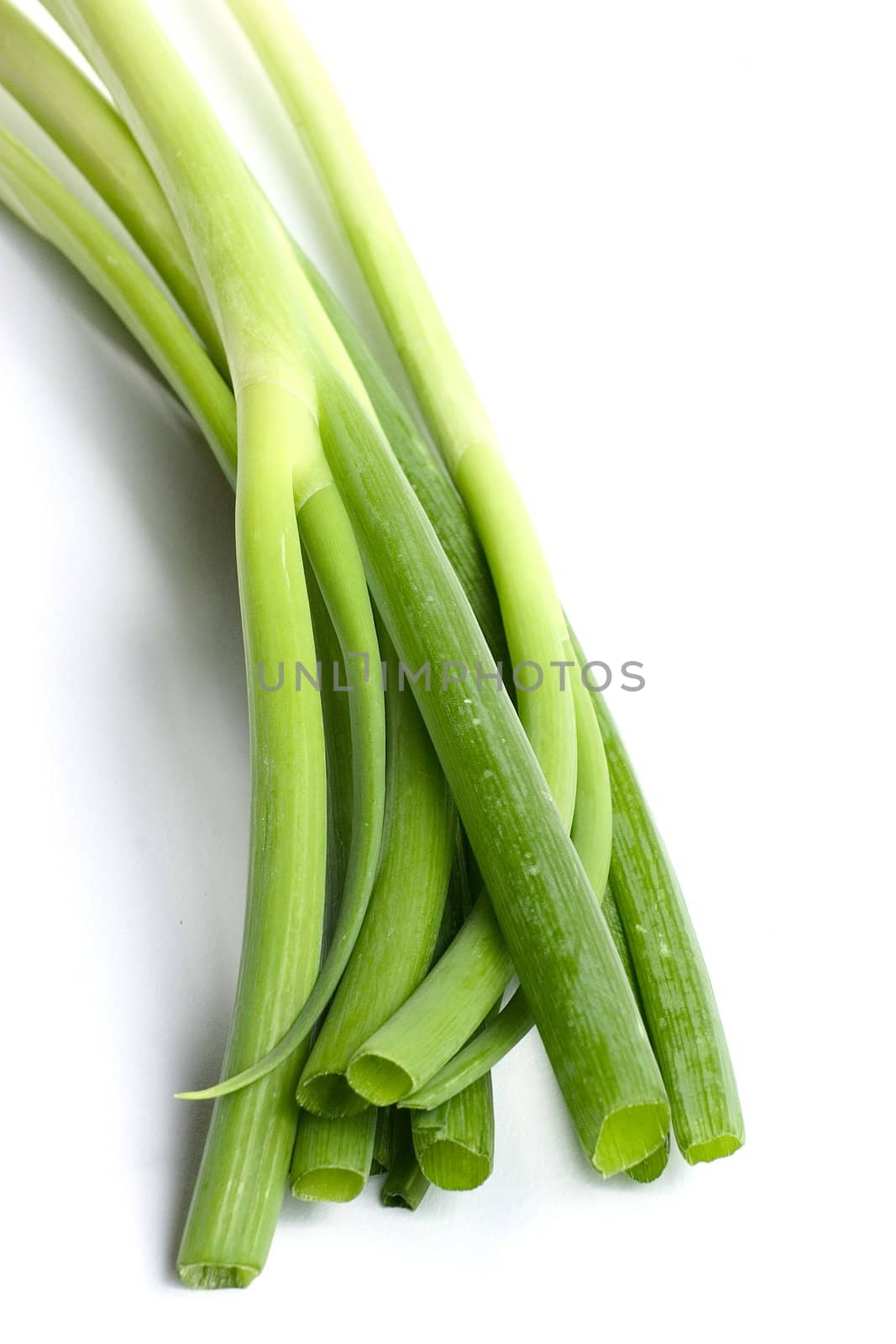 Chive in bunch isolated on white background