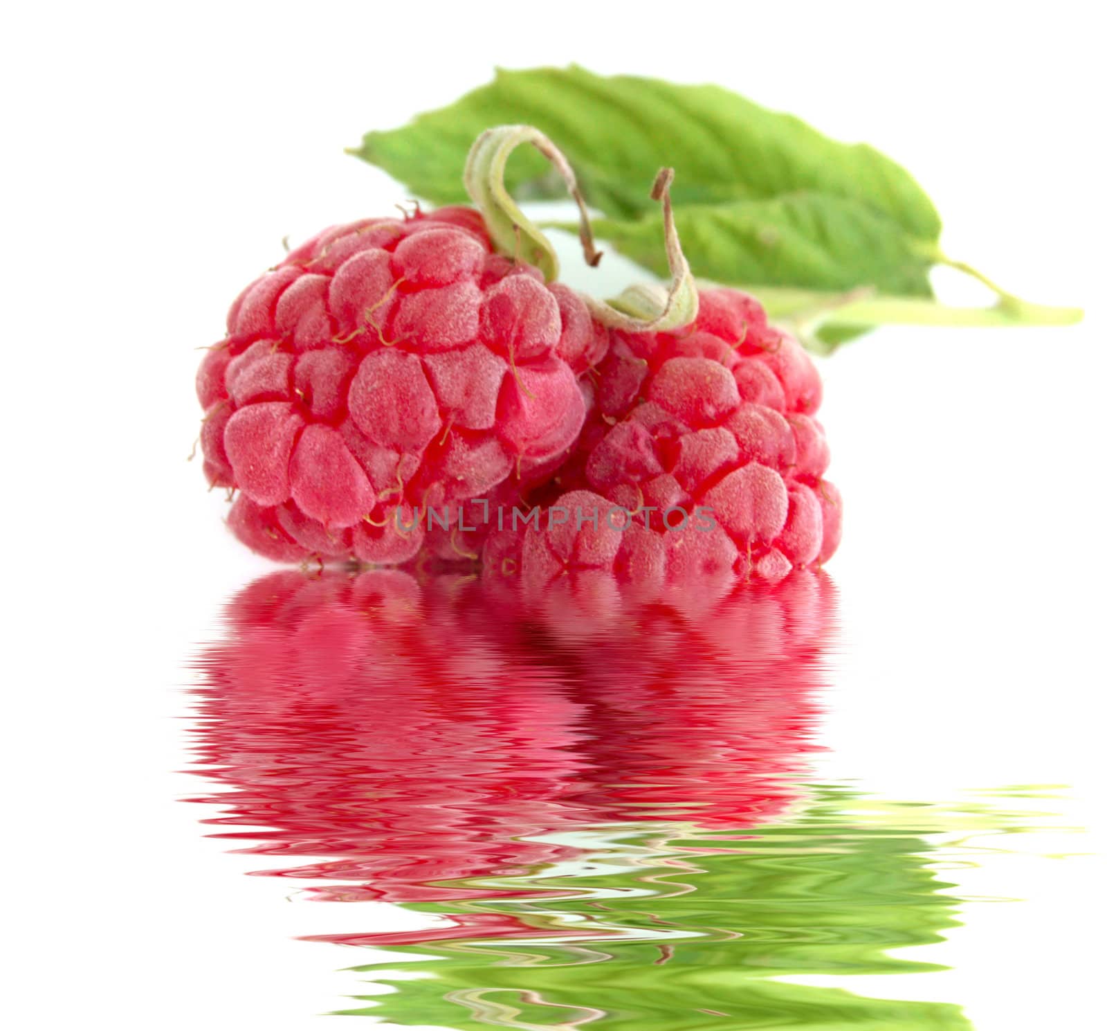 close-up of raspberry with leaves