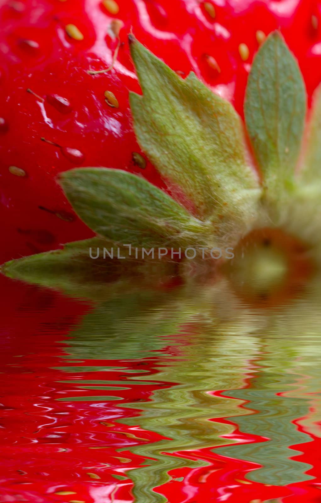 macro of strawberry with leaves