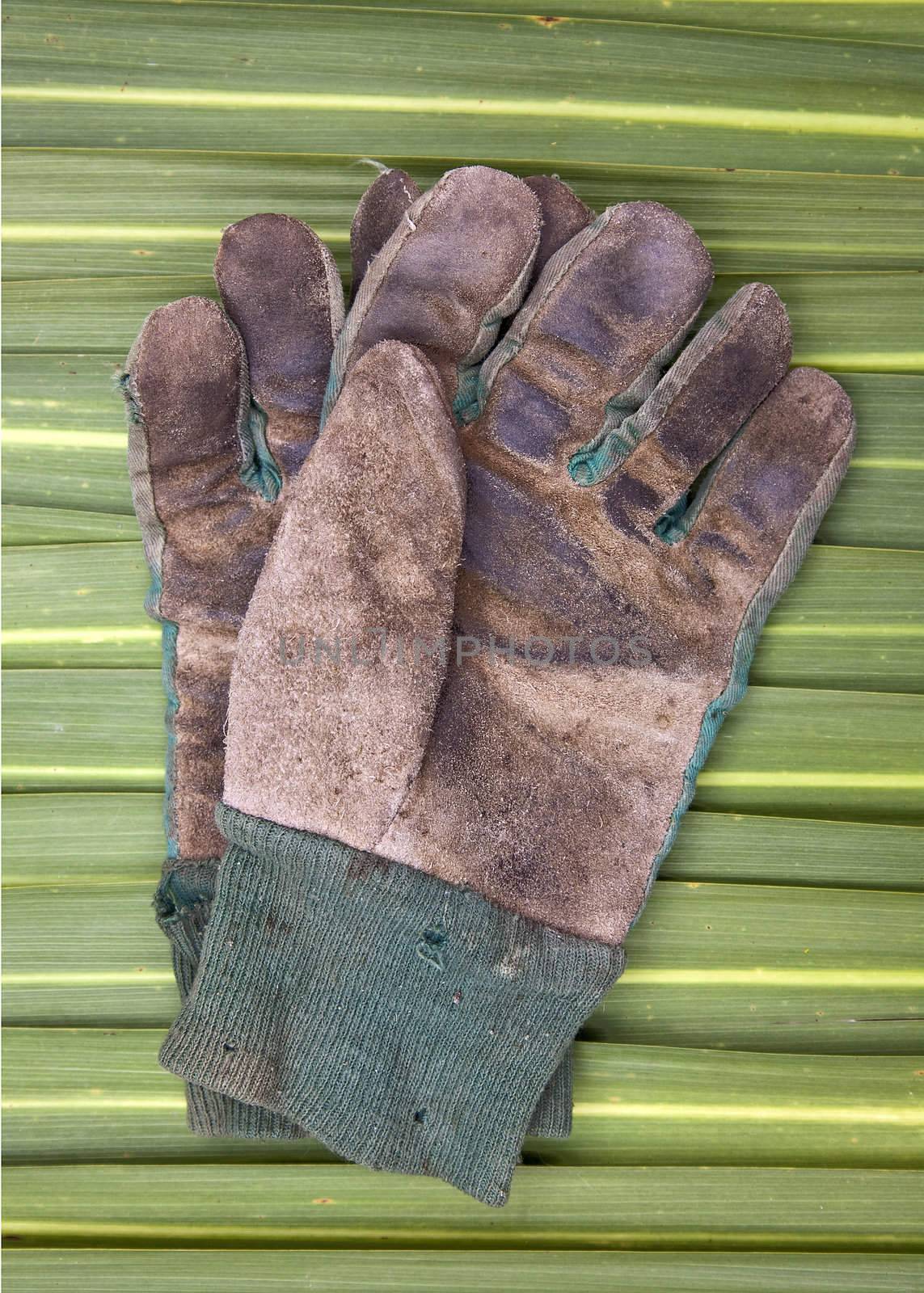 A pair of old gardening gloves on a background on Phormium leaves.