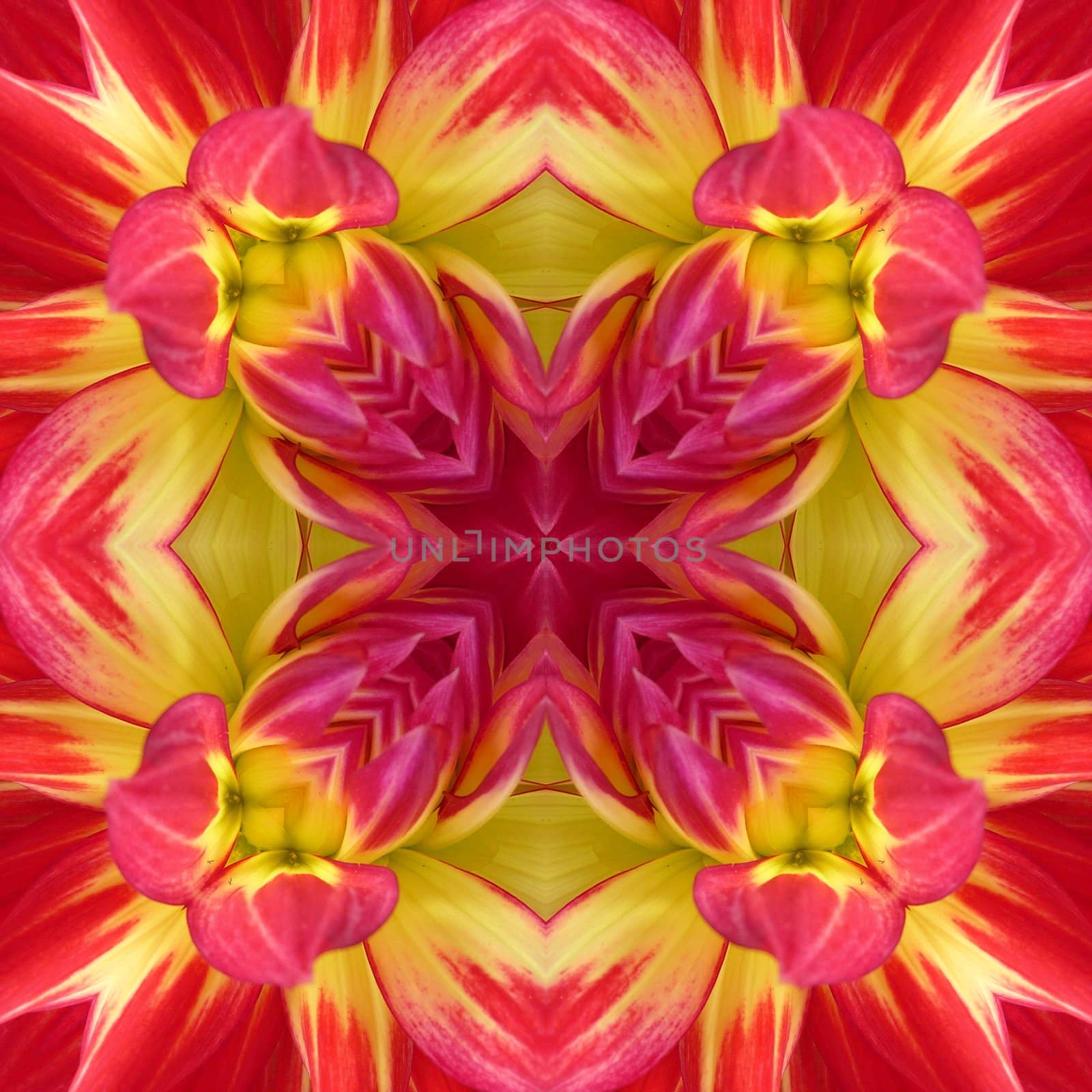 A Dahlia flower seamless tile background pattern.