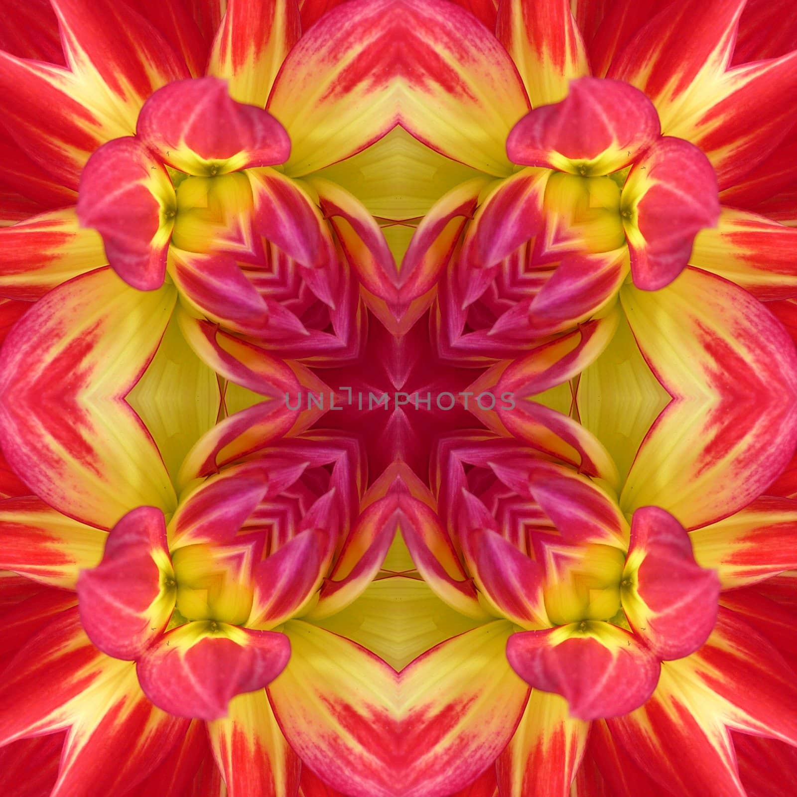 A Dahlia flower seamless tile background pattern.