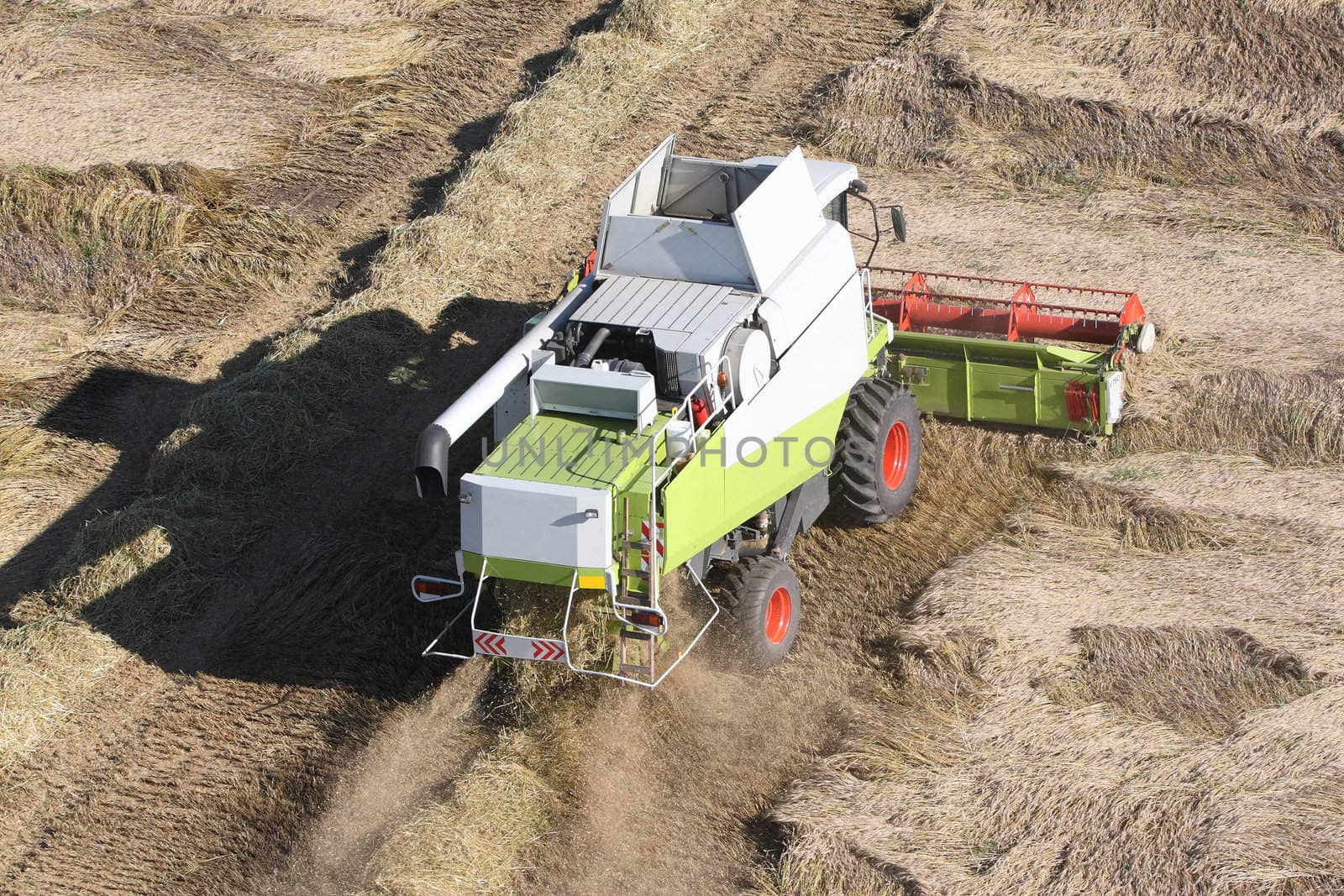 Machine harvesting the corn field