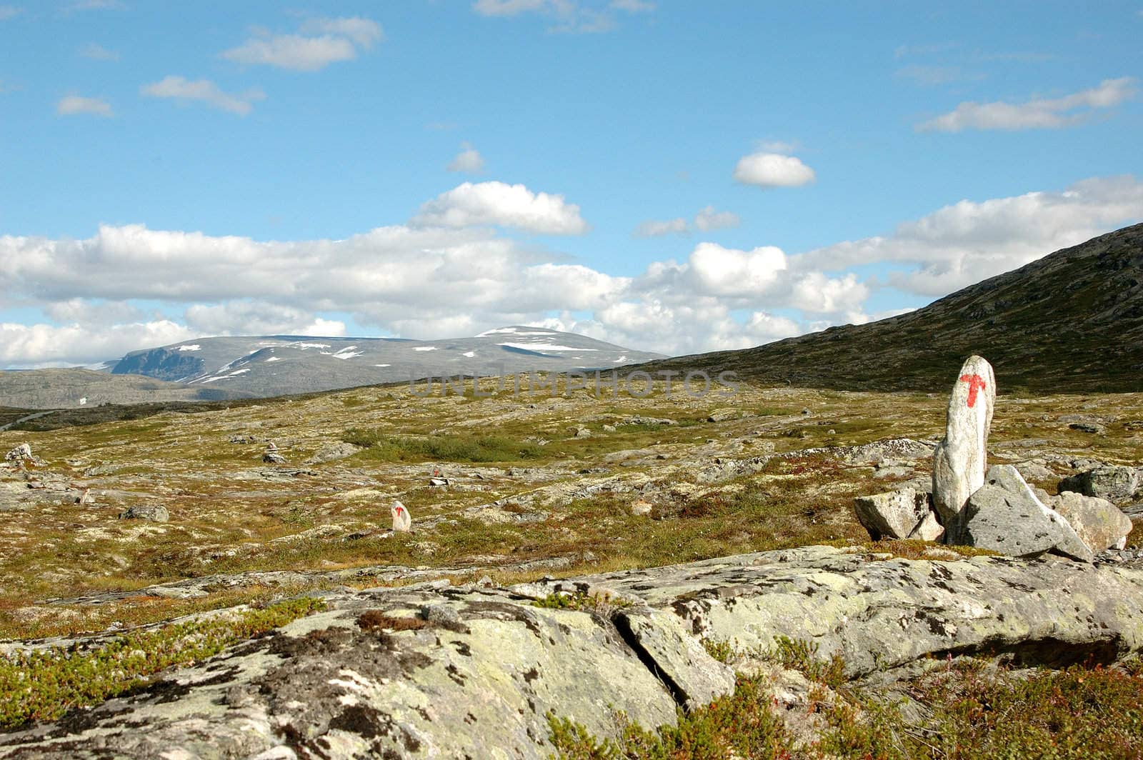Mountain path in Norway marked by red T.
