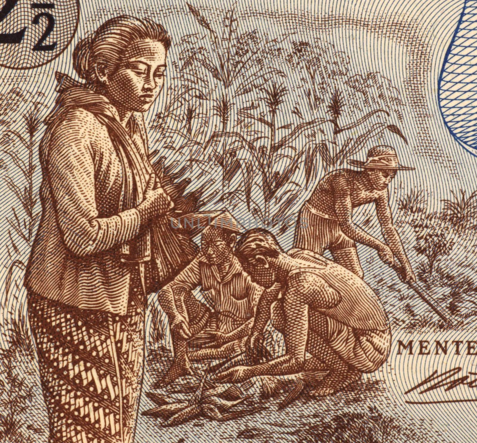 Field Workers on 2 and half Rupiah 1961 Banknote from Indonesia.