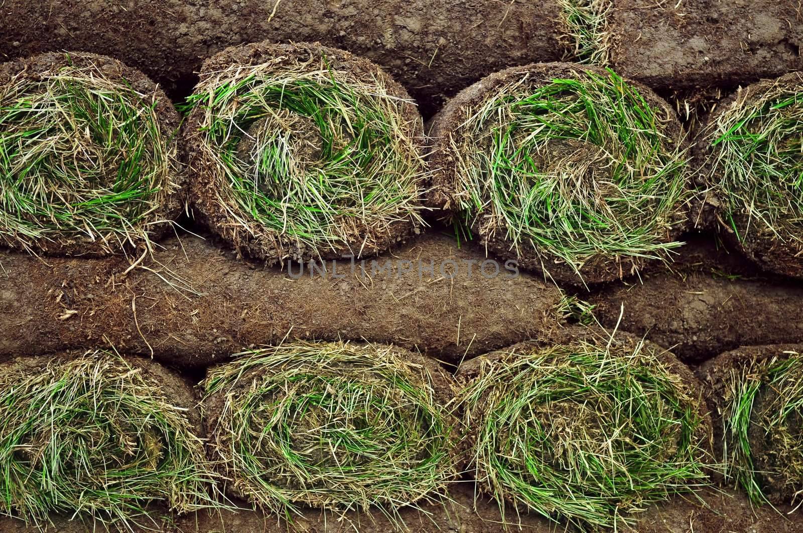 Stack of rolled grass sod or turf for lawns and landscaping