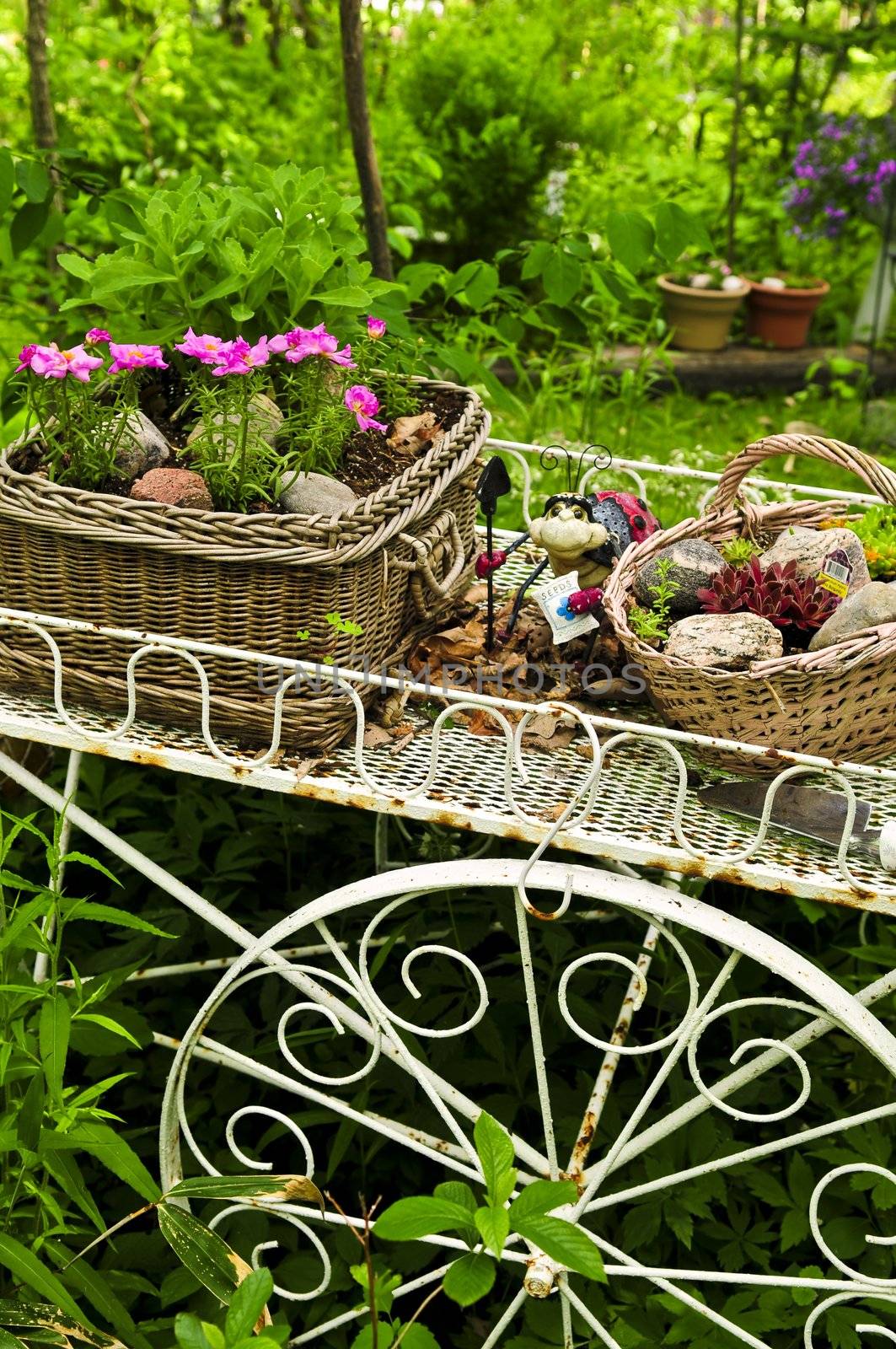 Flower cart with two baskets in summer garden