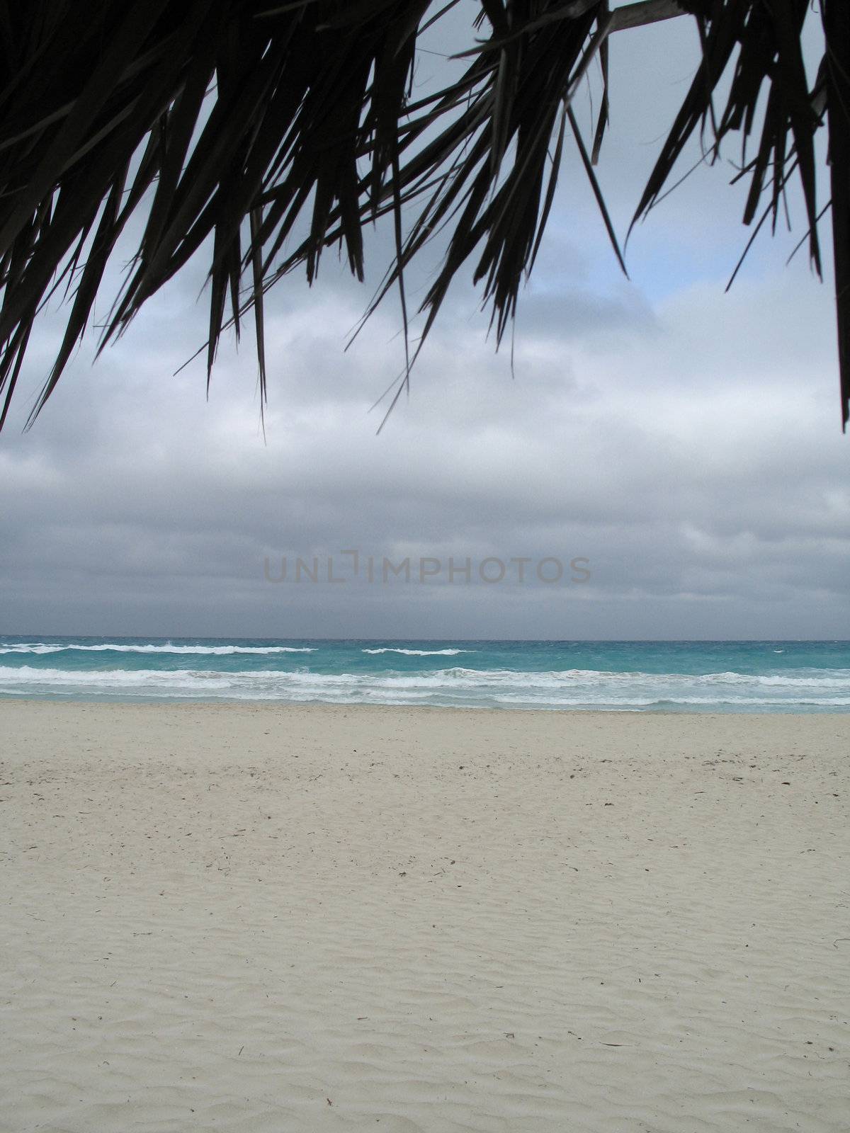 turquoise tropical ocean and dark blue sky by mmm