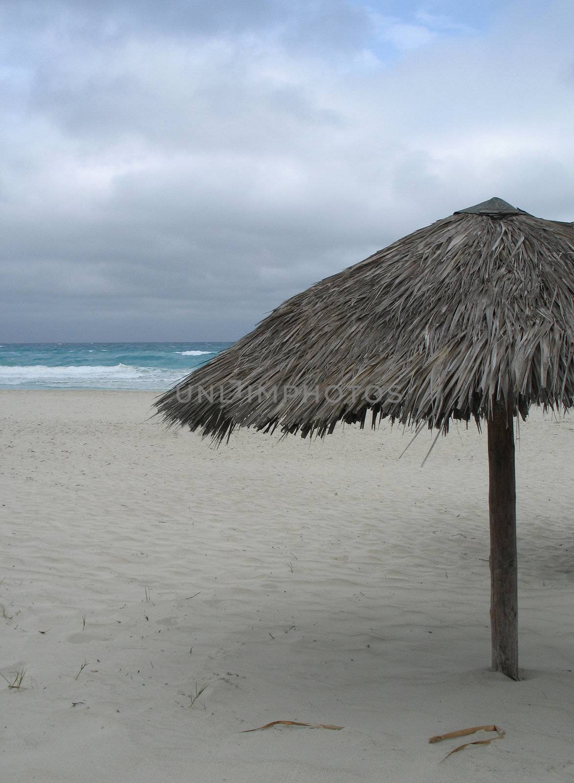 parasol on the empty beach by mmm