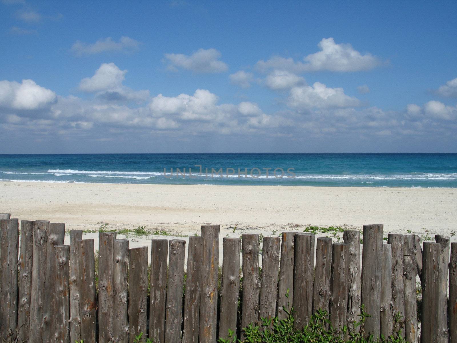 blue tropical ocean by mmm