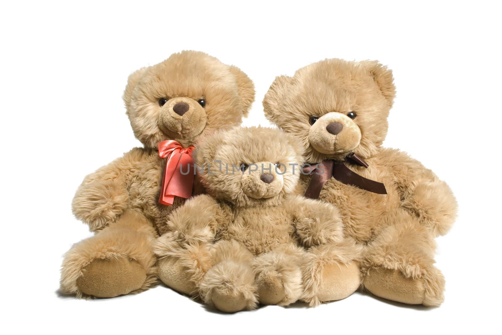 Family of three bears isolated on white background