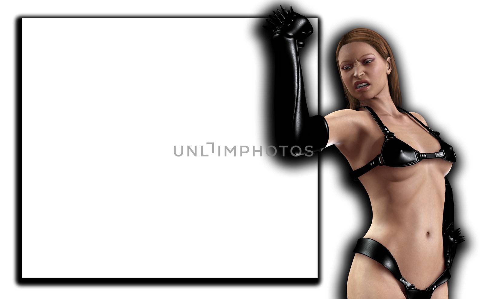 A sexy women dressed in PC with a blank customisable space.