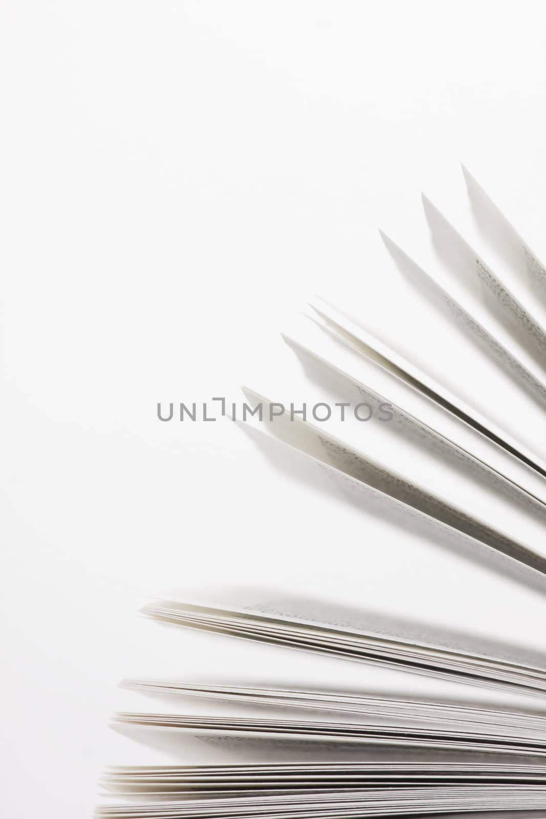 book pages on white background close-up