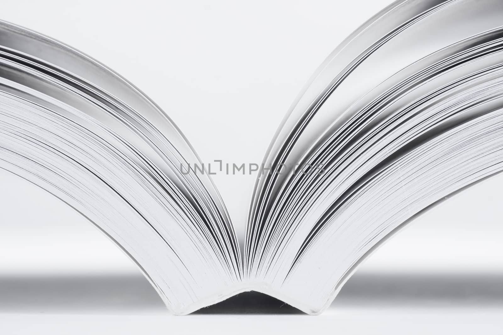 open book on white background