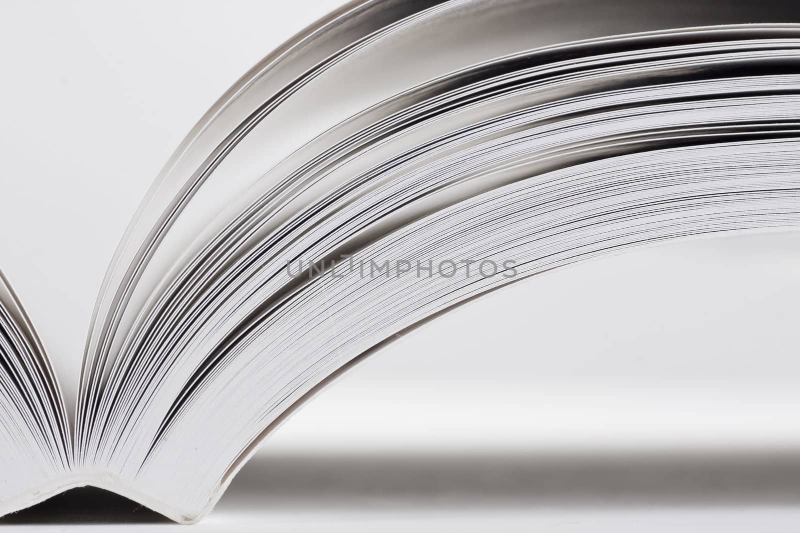 open book on white background