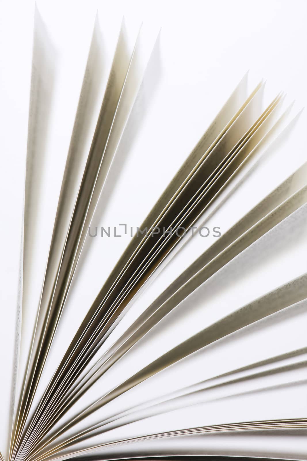 book pages on white background close-up