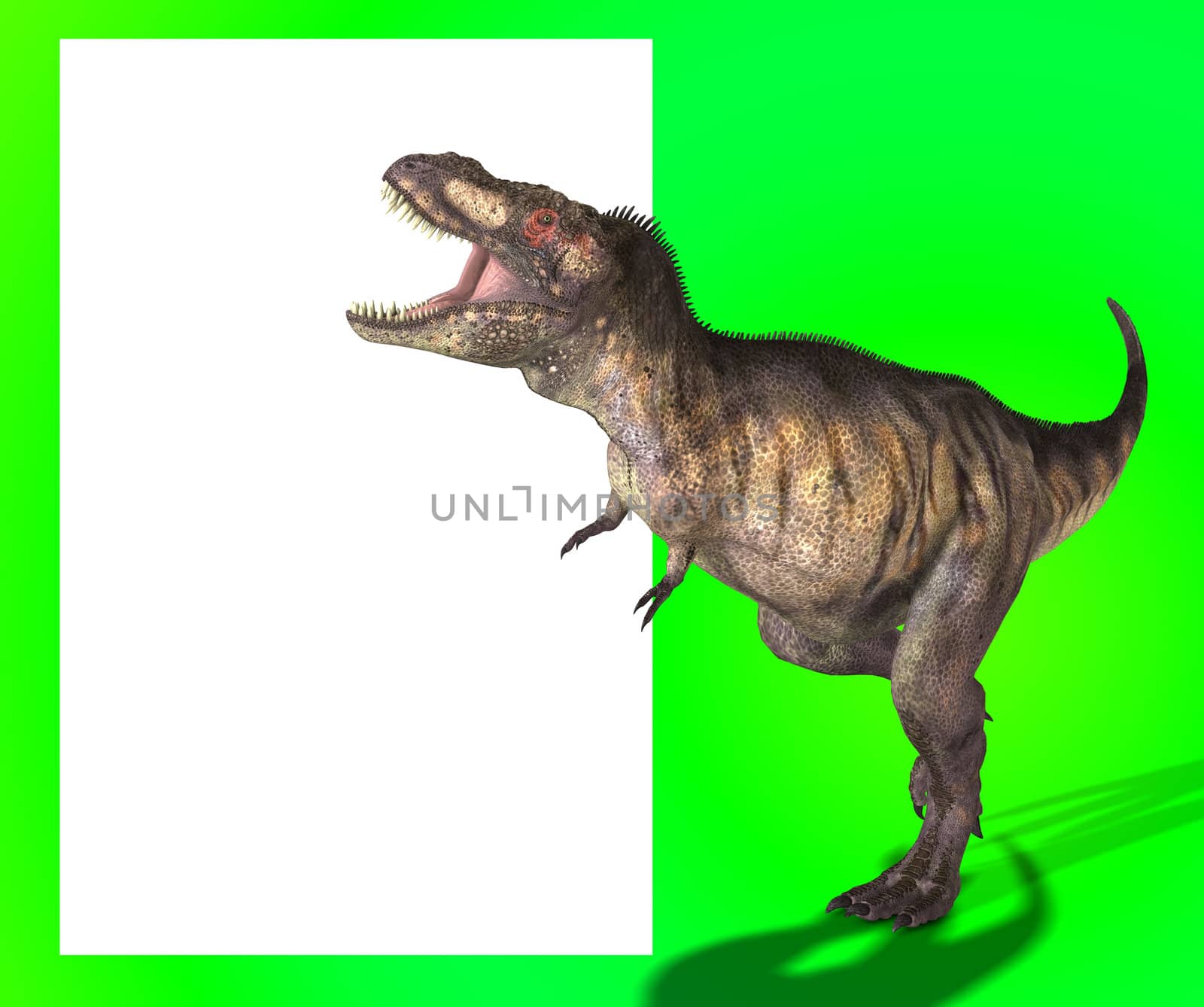 A Tyrannosaurus Rex in a menacing pose, with a blank customisable space.