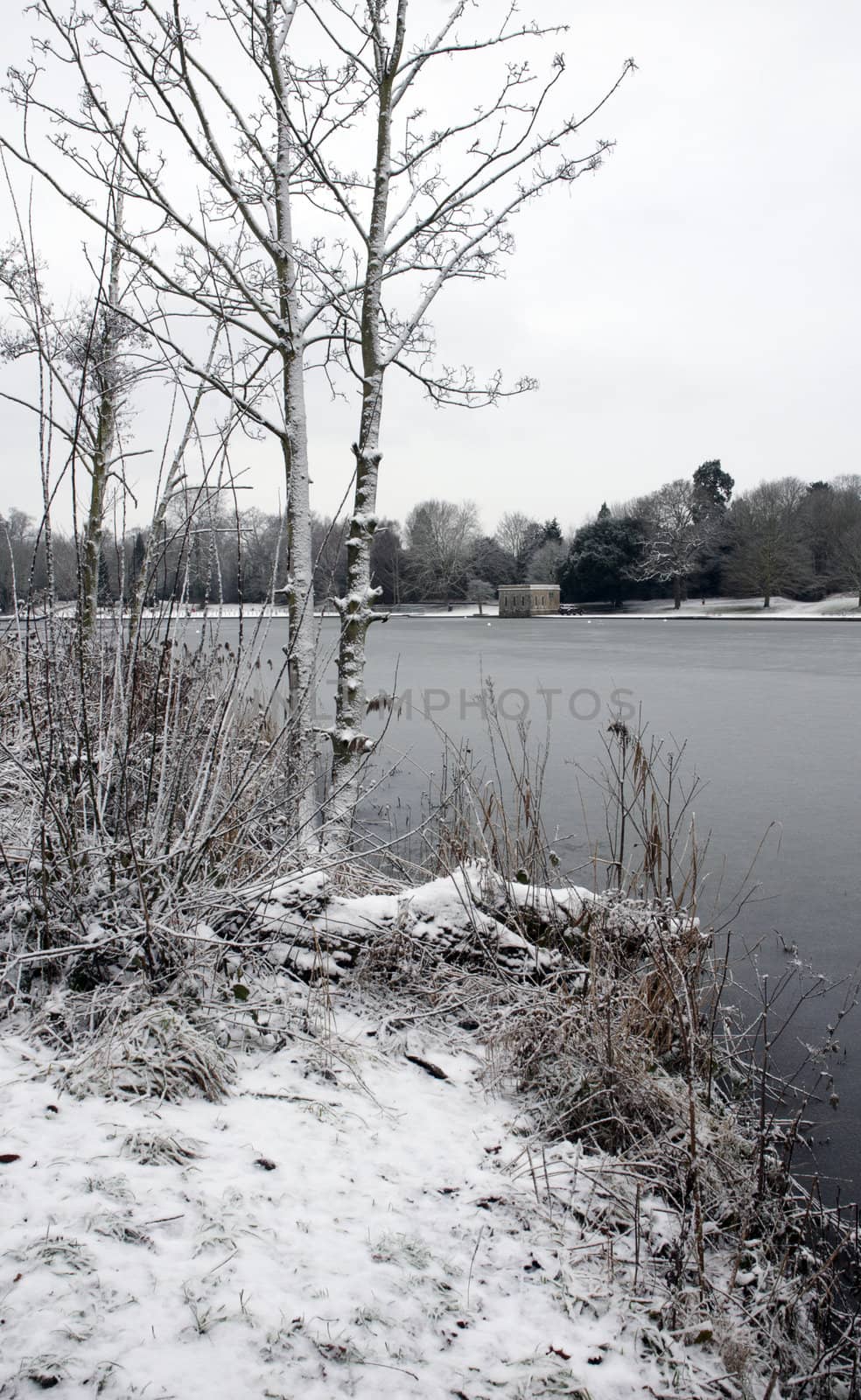 A view of a lake in winter with snow