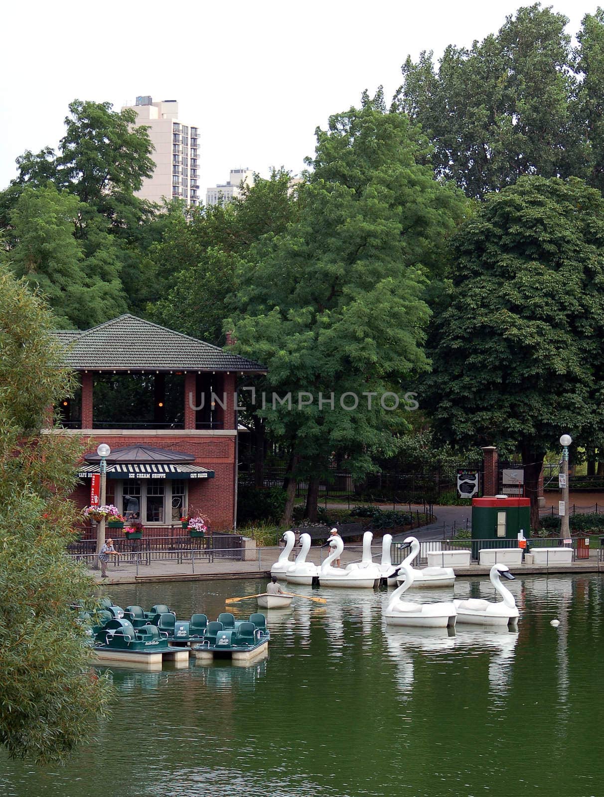 A view of Chicago from Lincoln Park