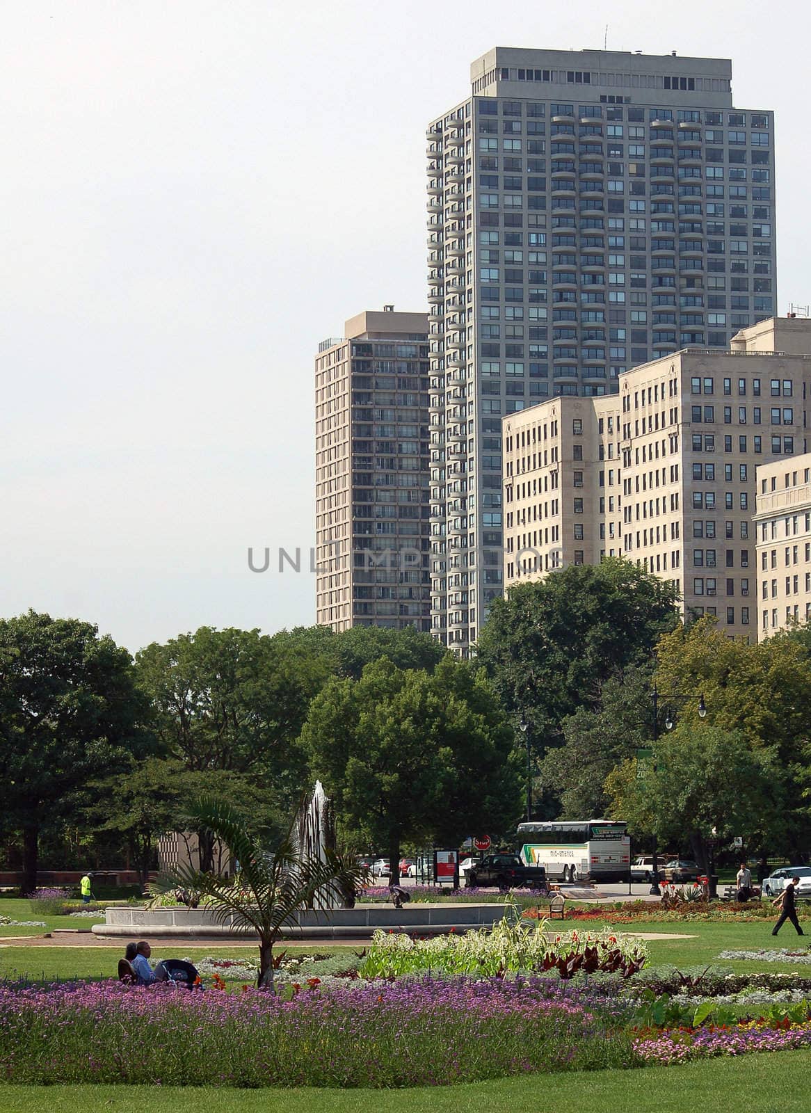 A view of Chicago from Lincoln Park