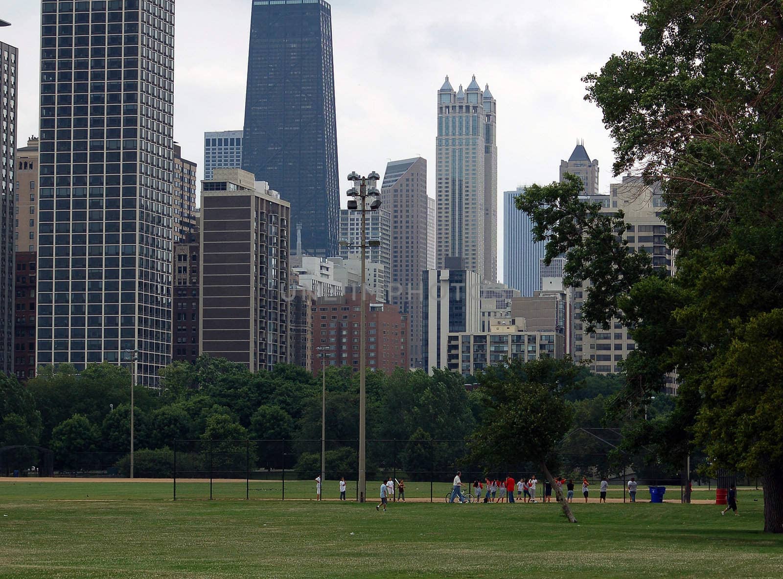 A view of Chicago from Lincoln Park