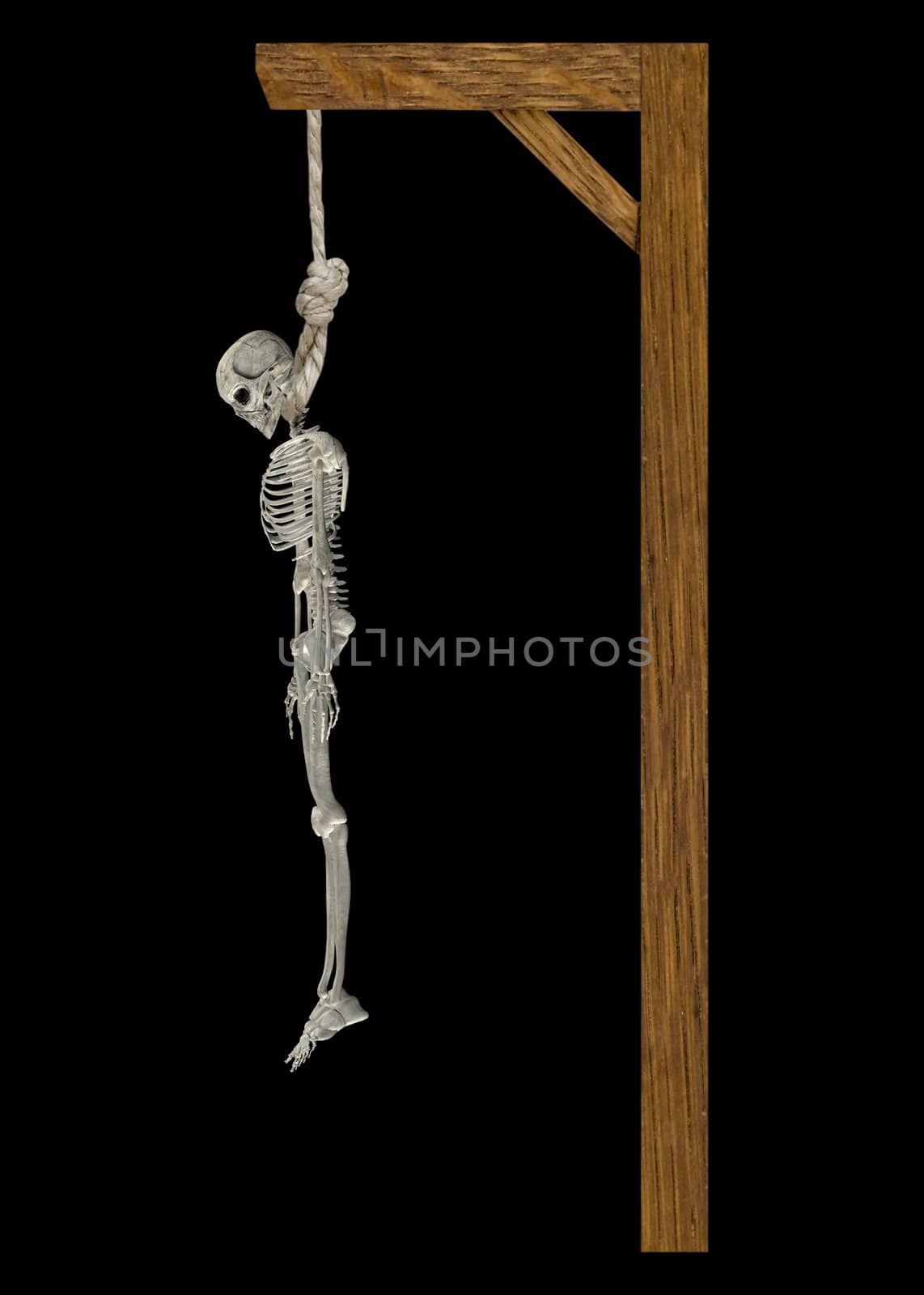 Hanging Skeleton by Ragnar