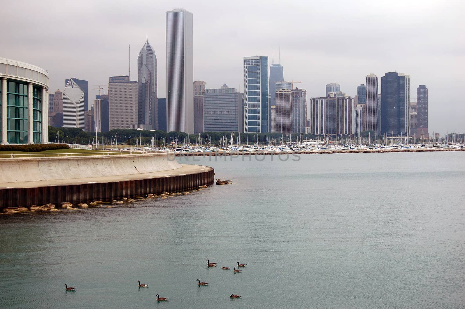 A picture of the Chicago skyline with the aquarium in the foreground