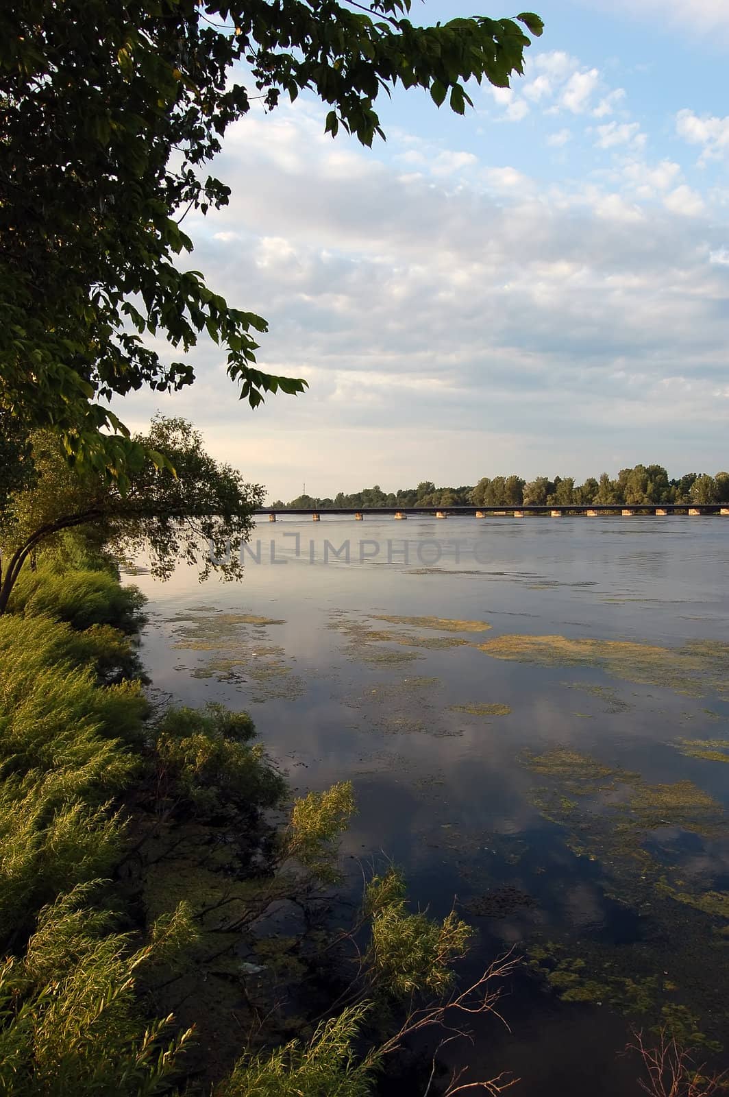 By the river banks by nialat