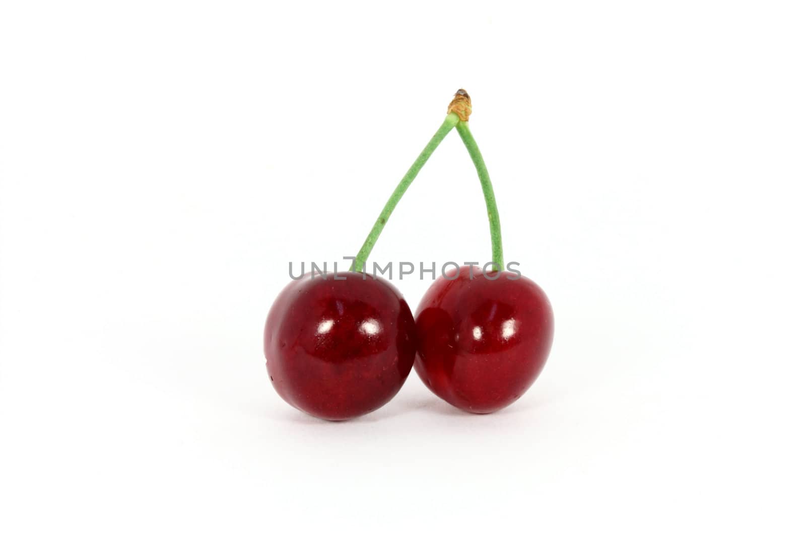 Two sweet cherries isolated on white background
