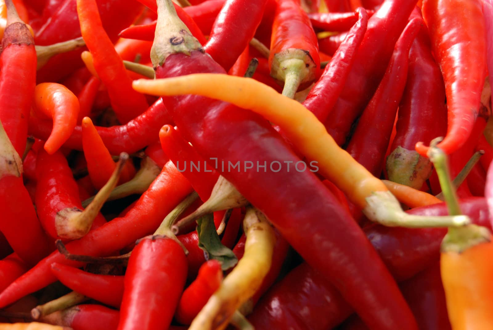 red hot pepper