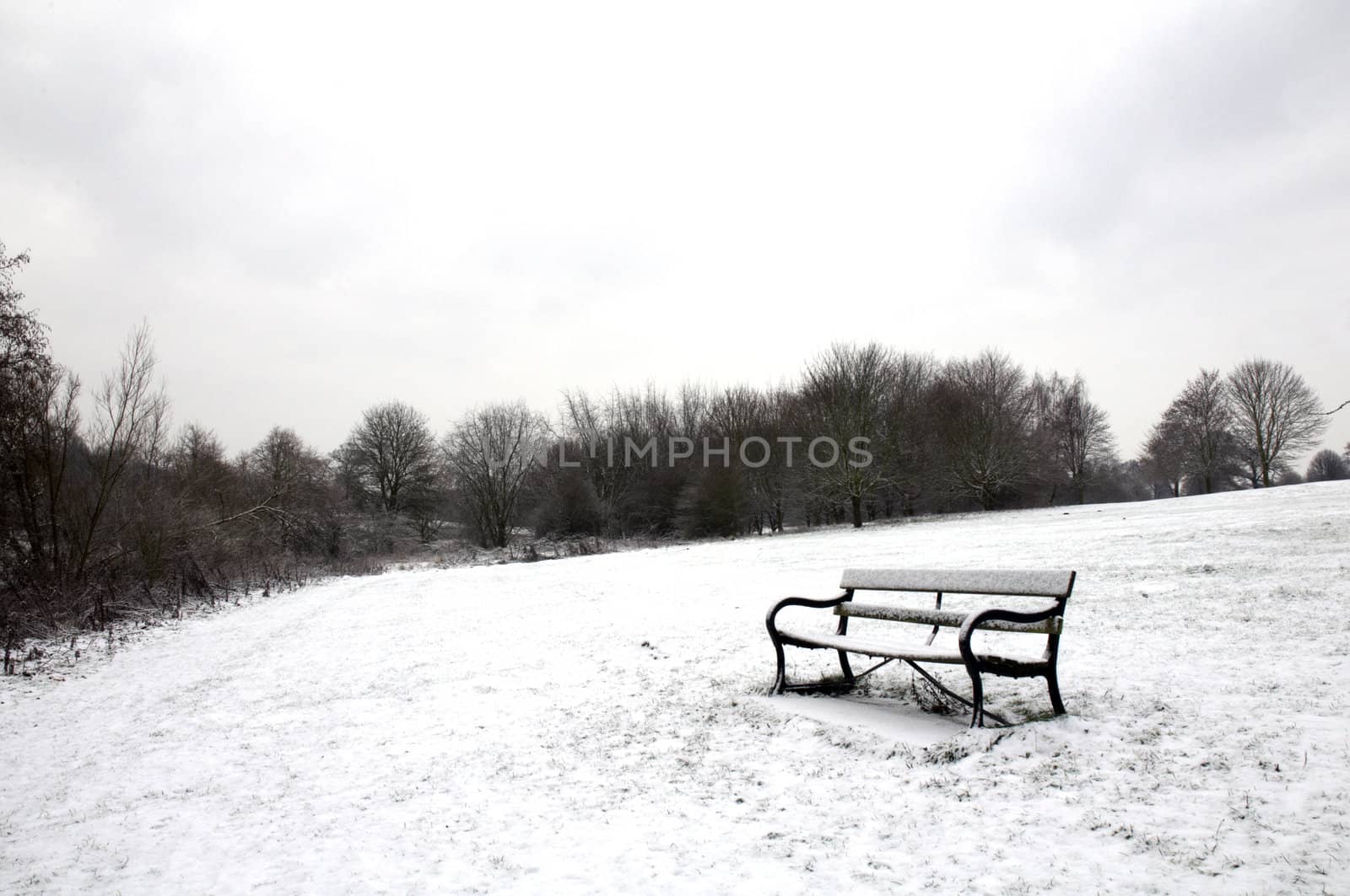 A path bench in a park covered in snow with trees in the background