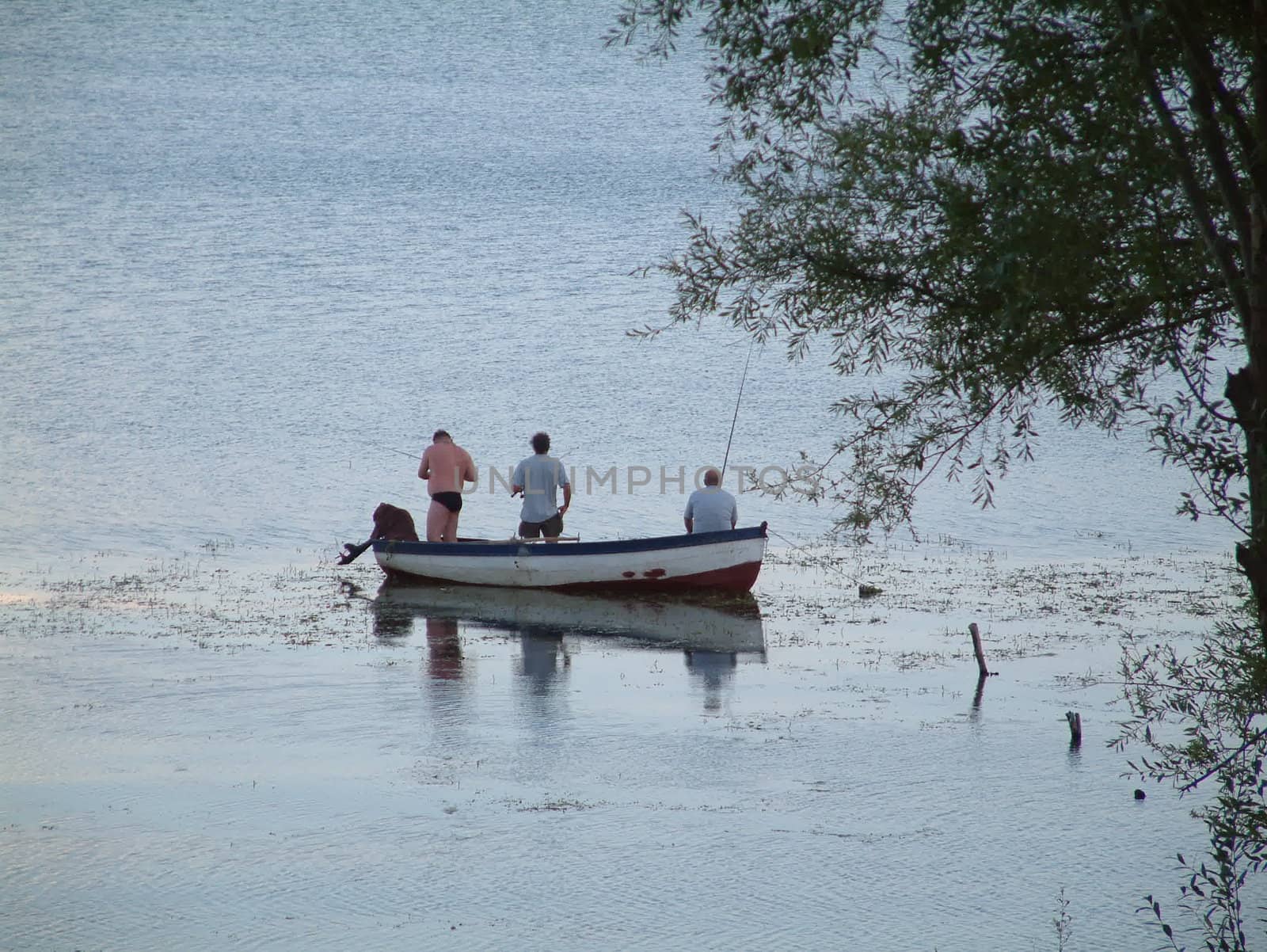 fishing , boat on lake