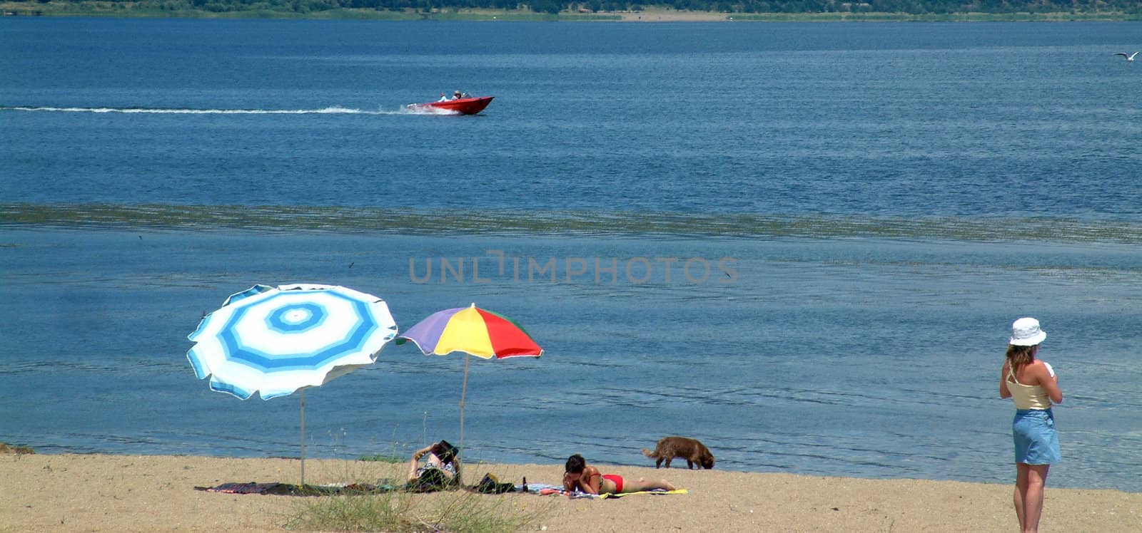 beach on the lake prespa in macedonia