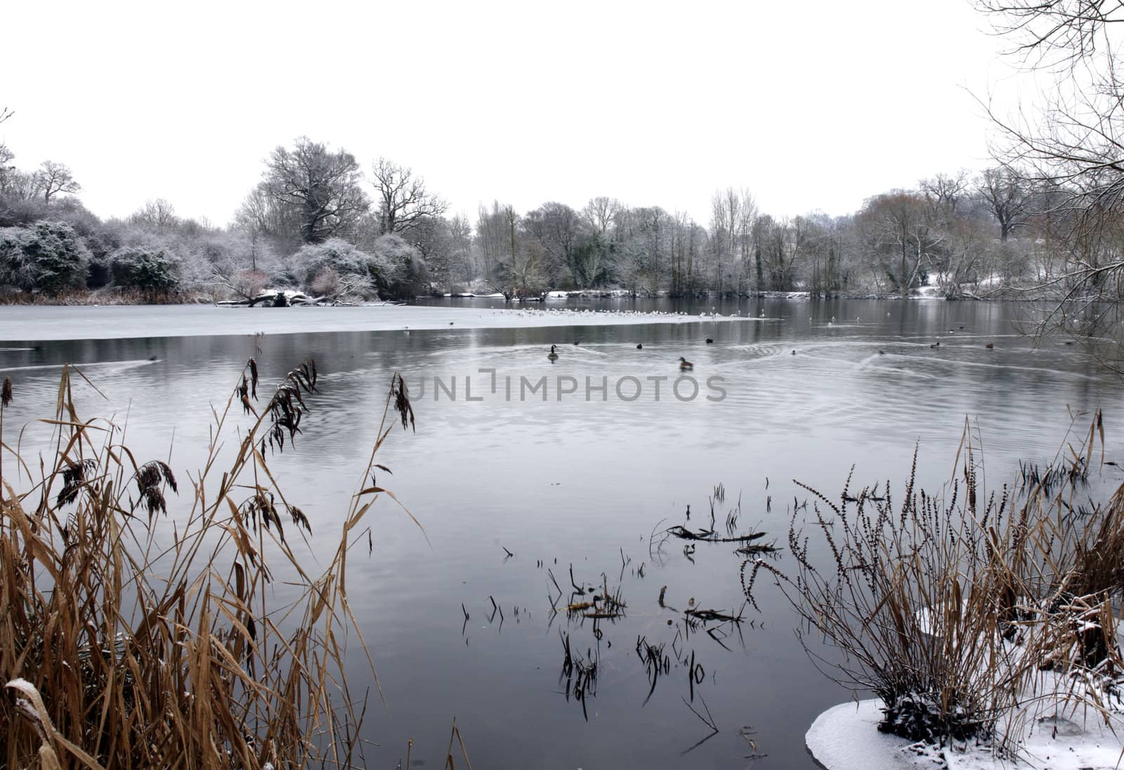 Winter lake by mbtaichi