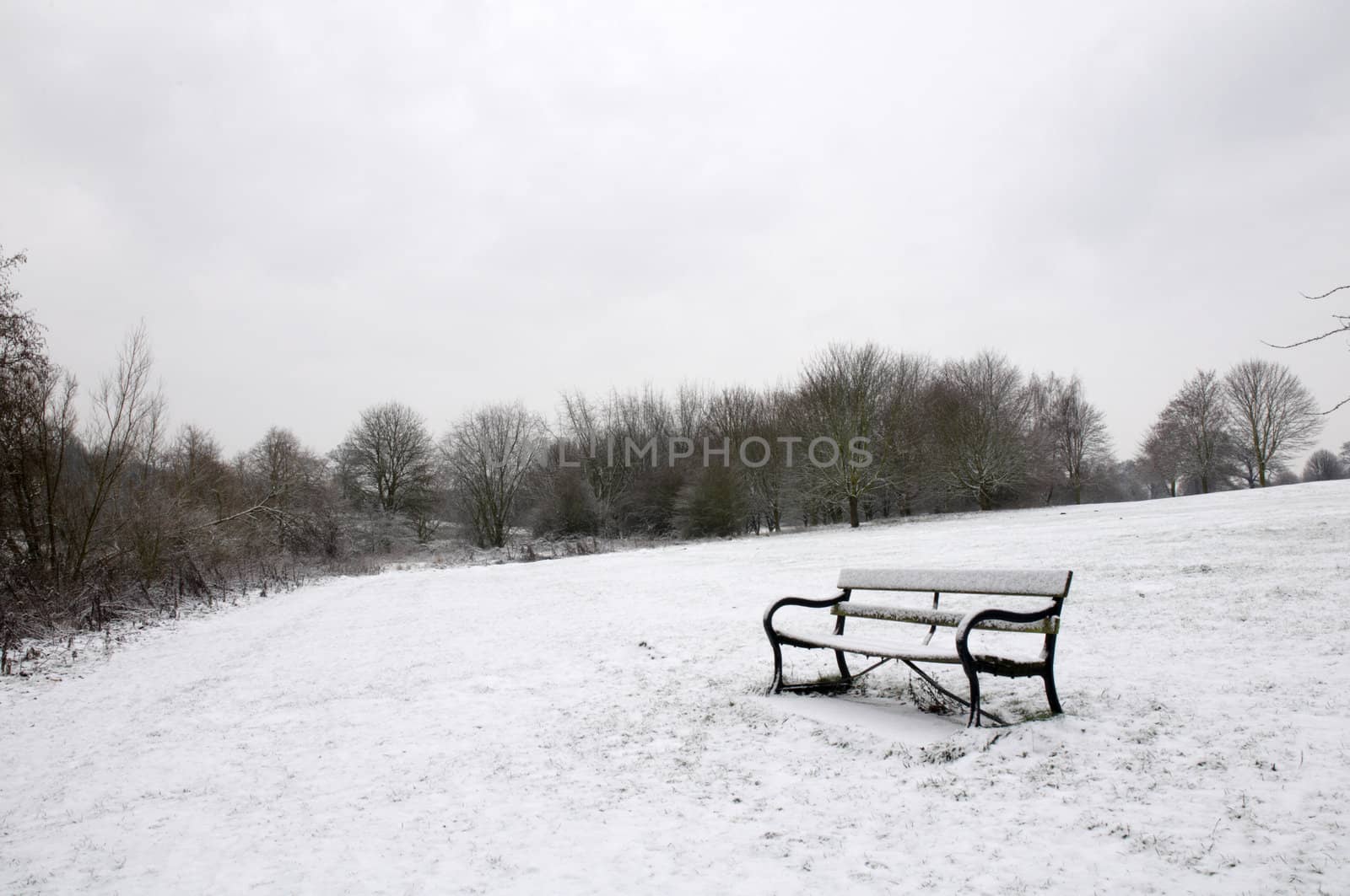 A path bench in a park covered in snow with trees in the background