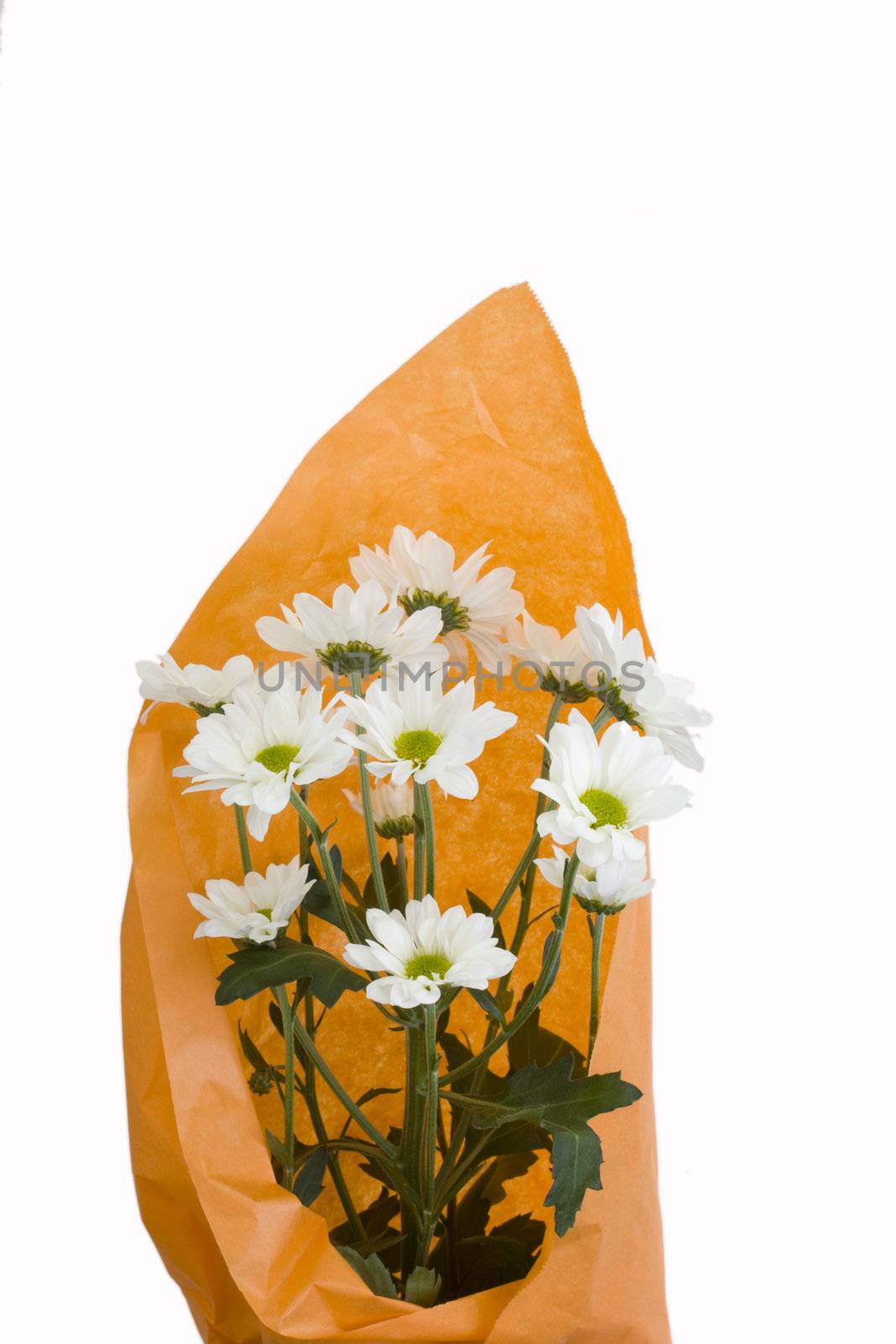 bouquet of white chrysanthemum in orange wrapping