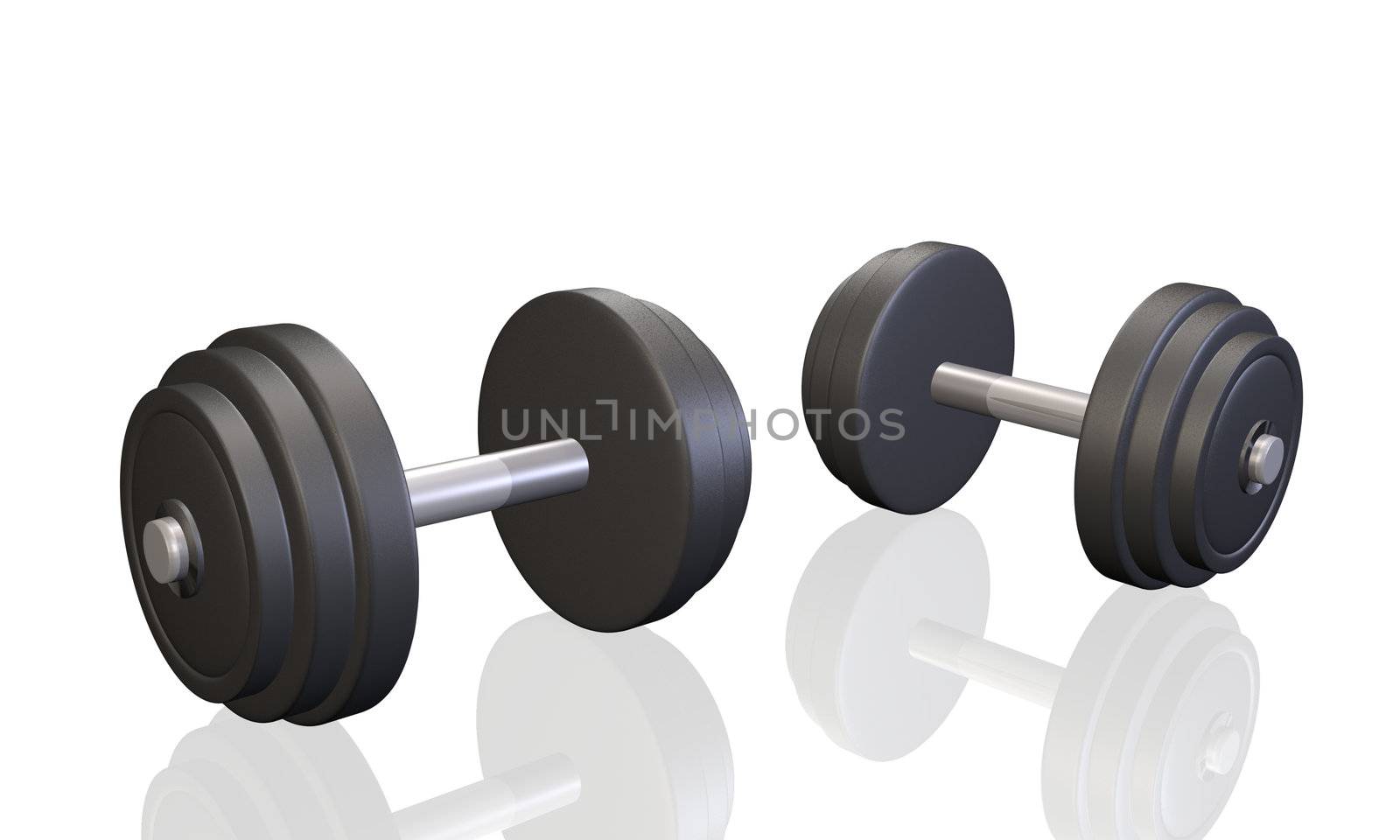 Exercise Dumbells by nmarques74