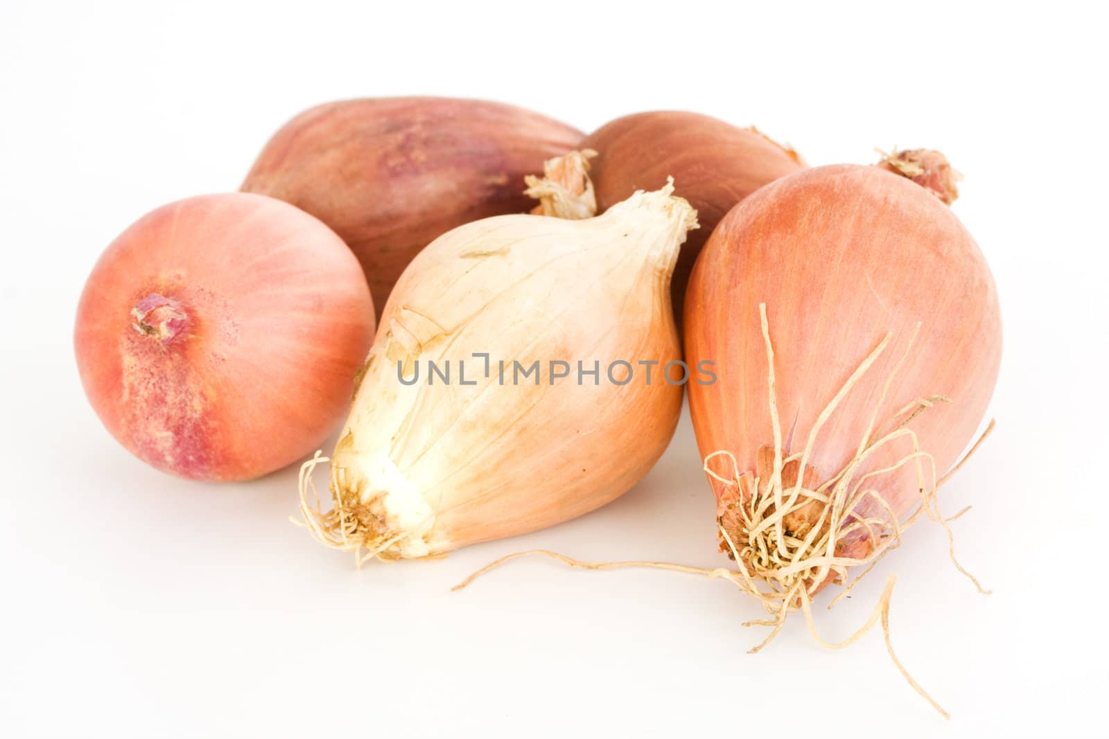 five shallots isolated on white background