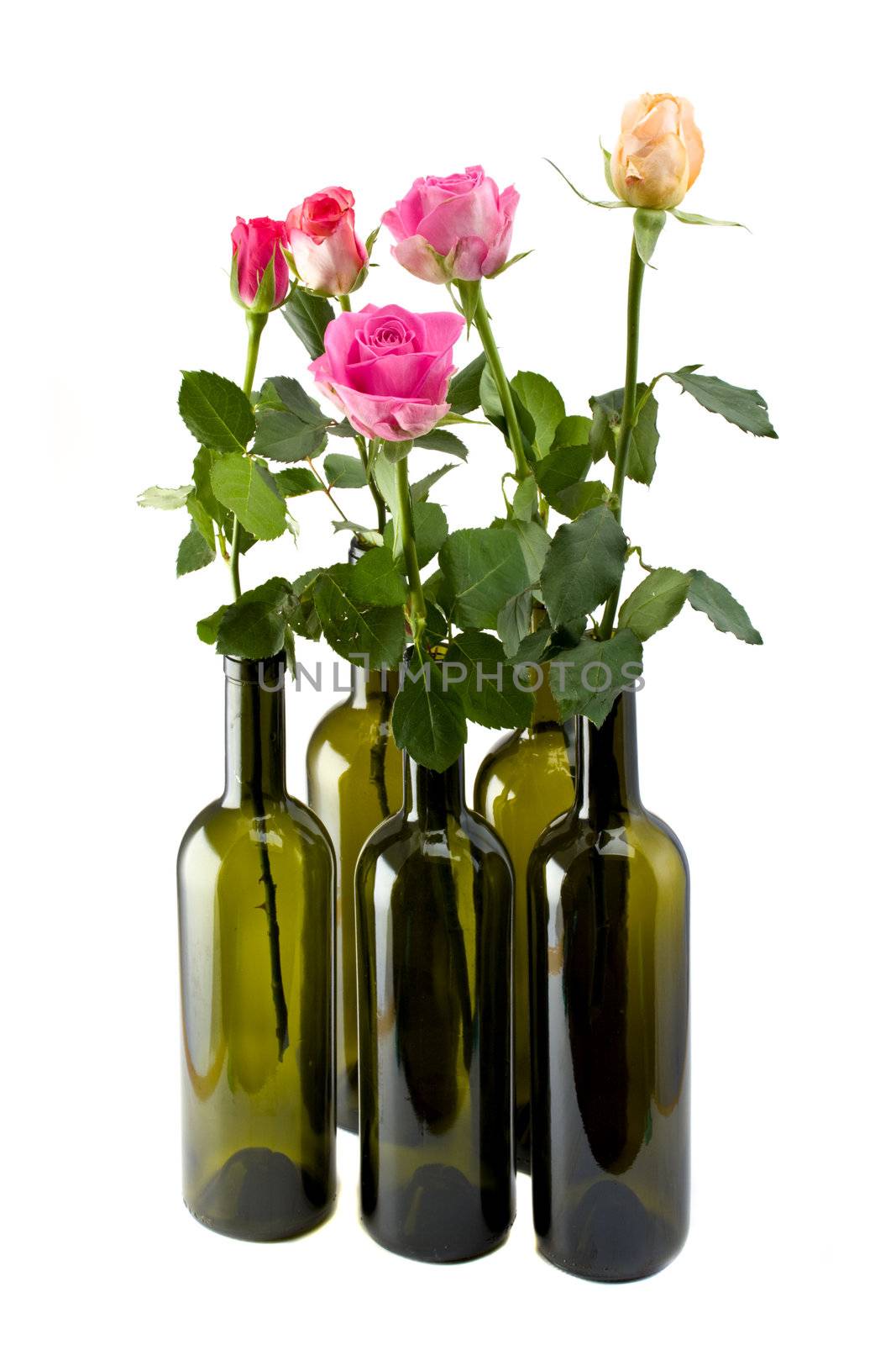 colorful roses in six empty wine bottles isolated on white background