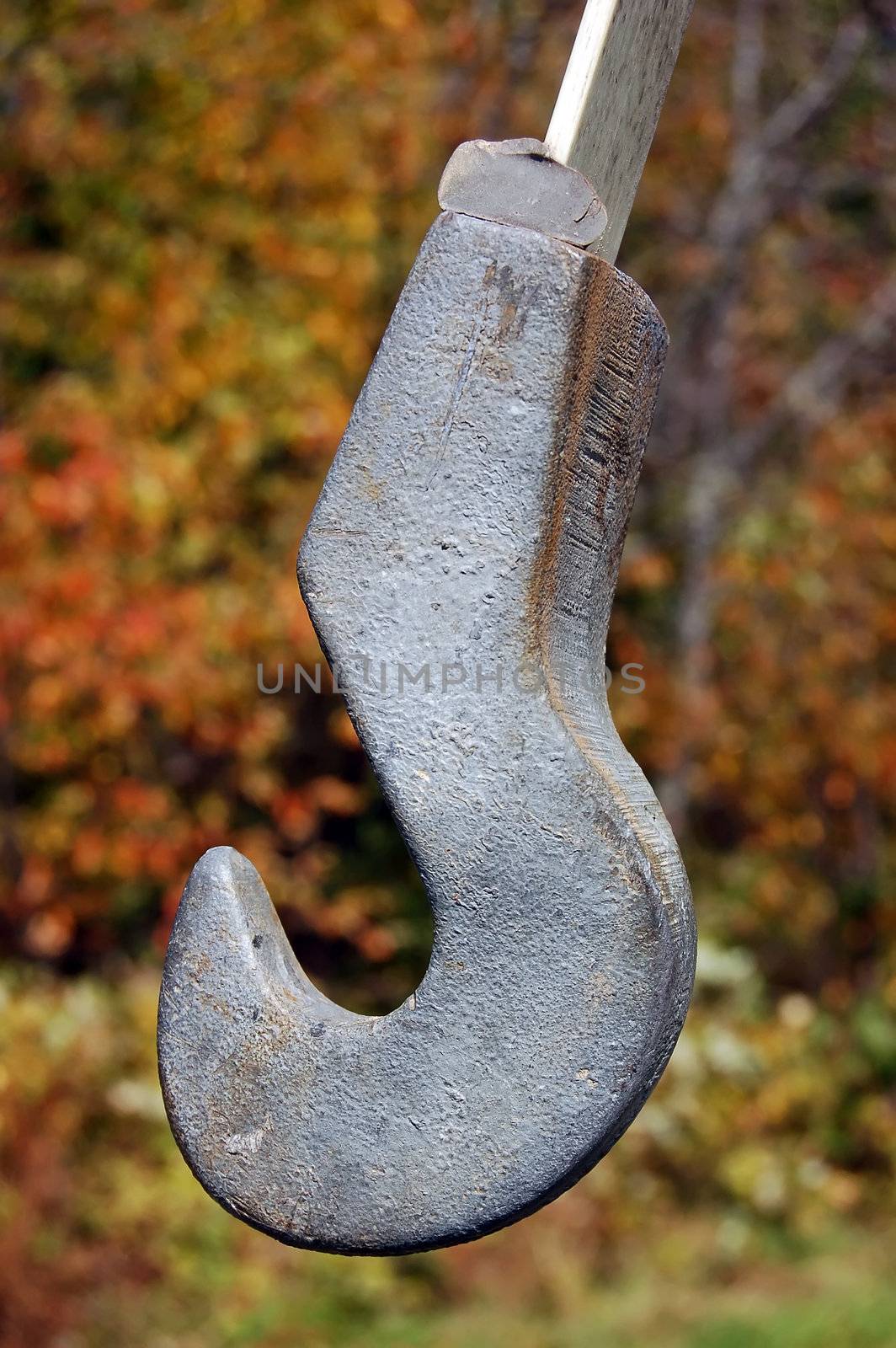 Close-up view of a large metal hook