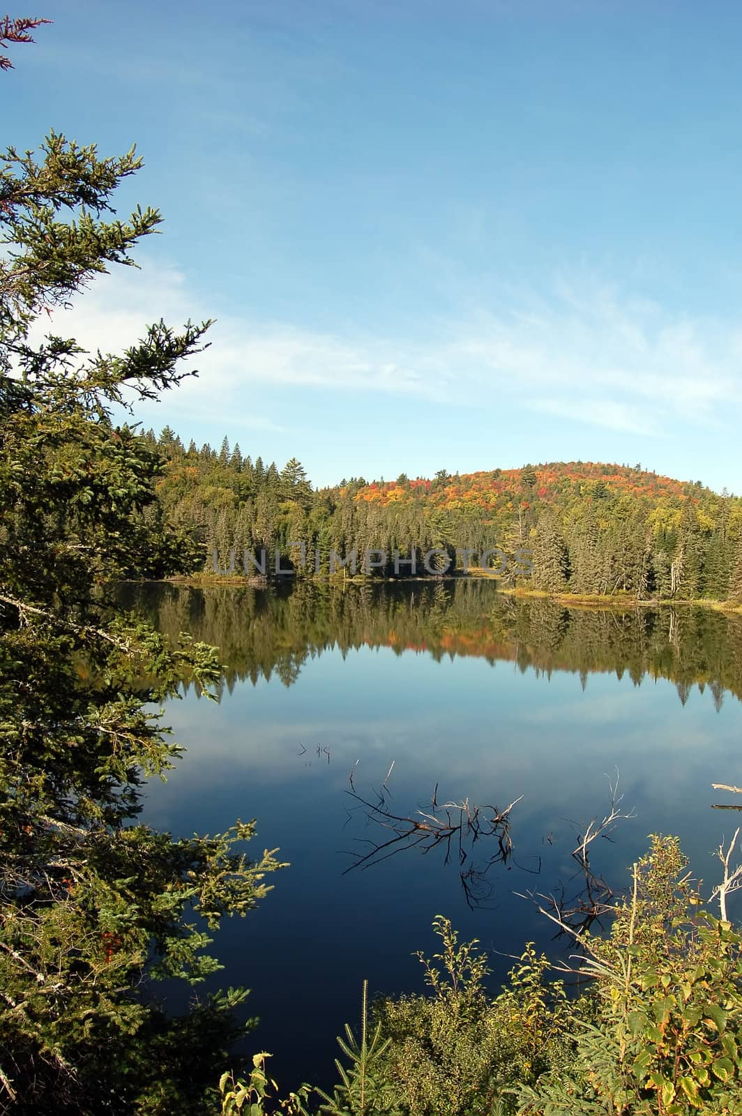 A picturesque landsacape showing a lake and a colorful fall forest