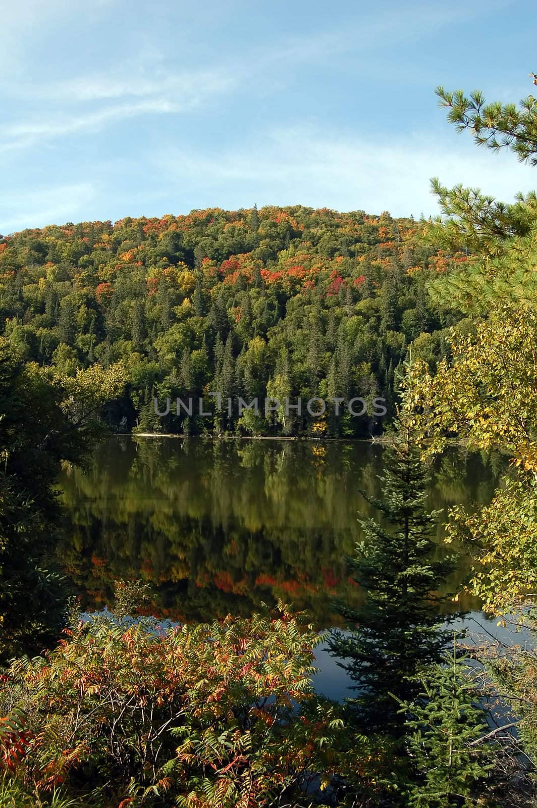 A picturesque landsacape showing a lake and a colorful fall forest