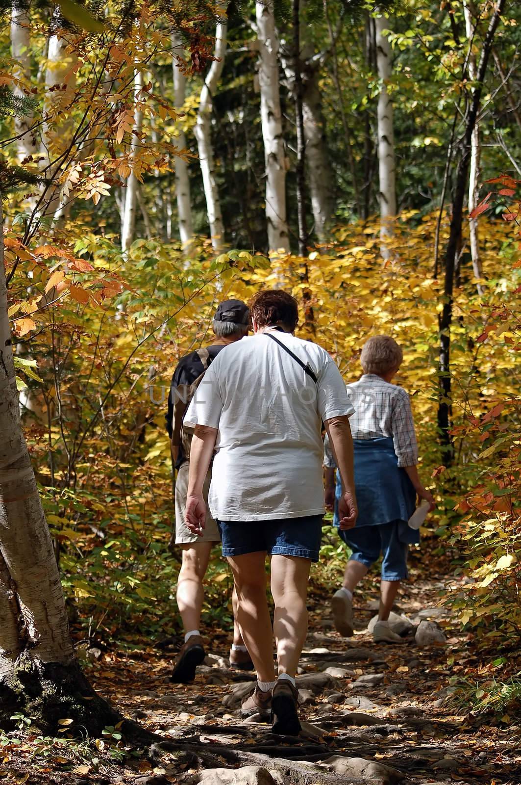 Sunday family hiking in a trail in autumn