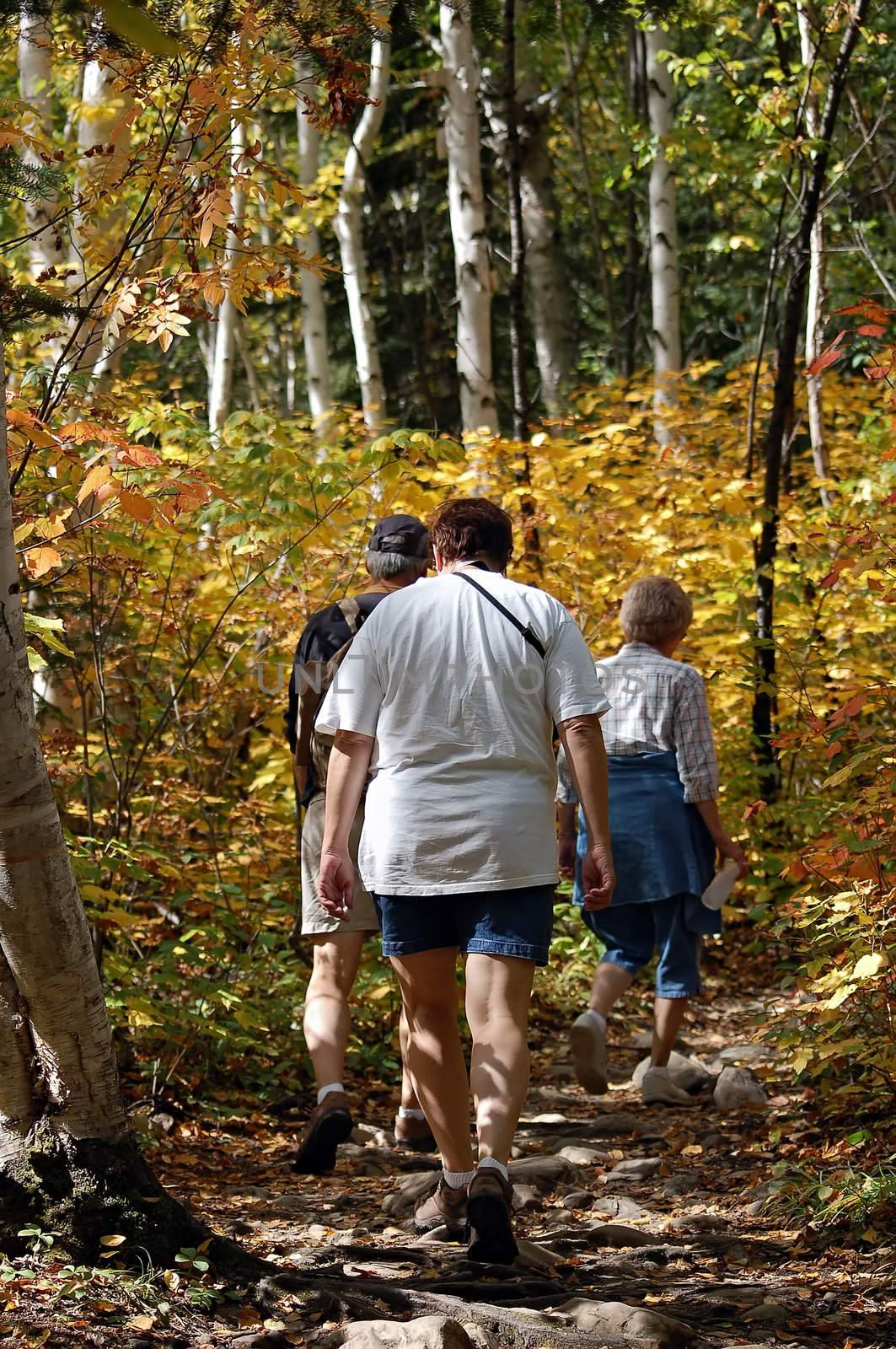 Family Hiking by nialat