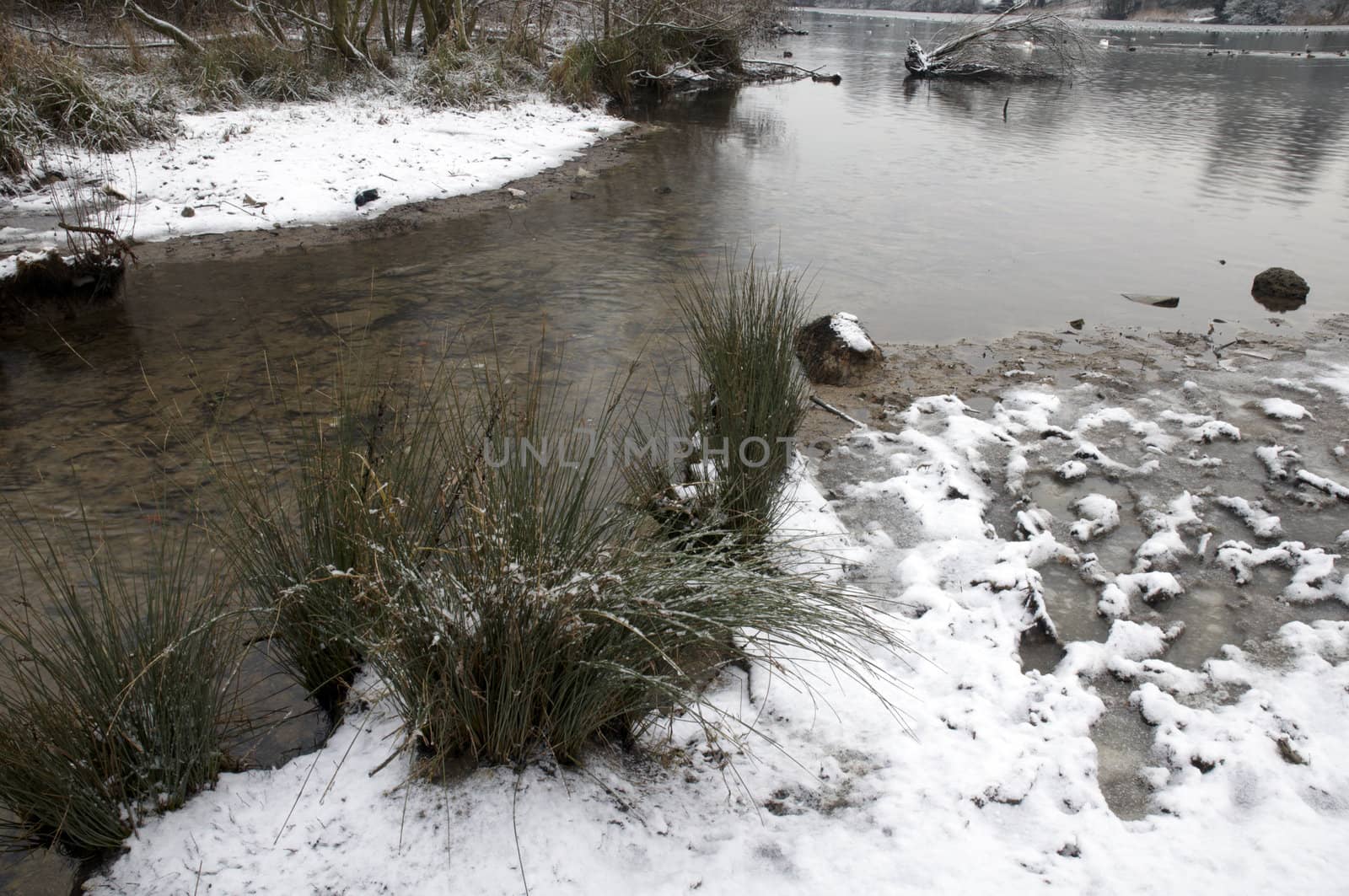 Winter lake by mbtaichi