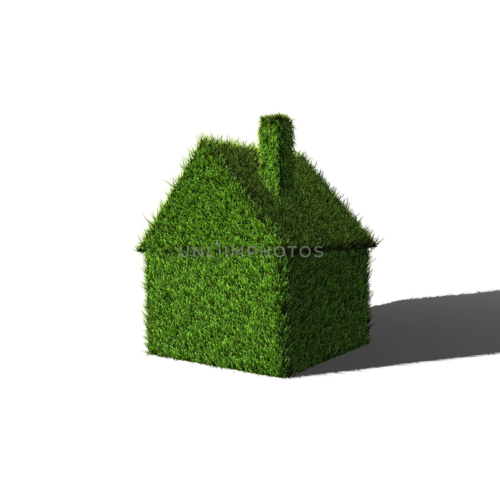 Image of a 3D house made of green grass.