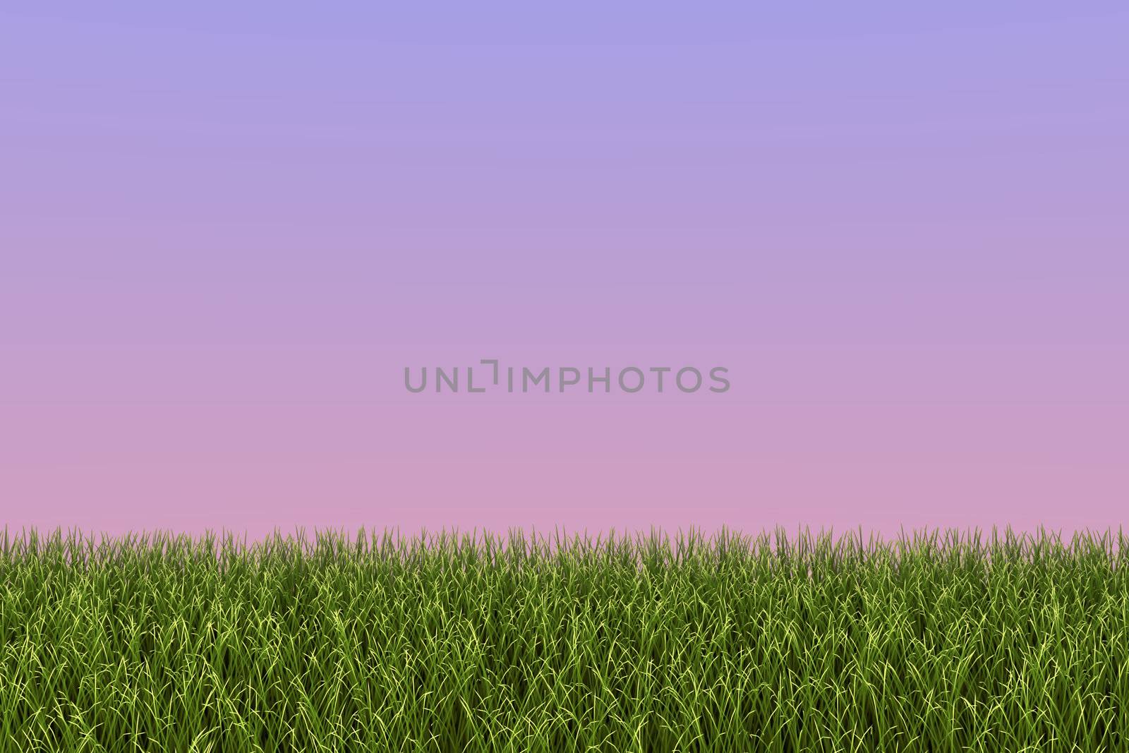 Image of a field of grass against a twilight background.