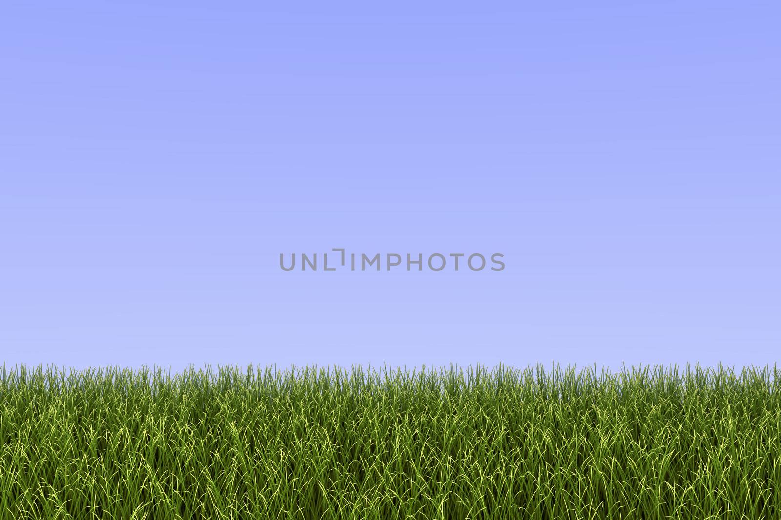 Grass Background by nmarques74